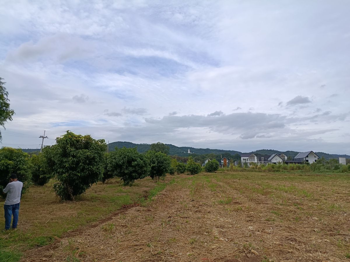 For SaleLandPak Chong KhaoYai : 6 rai of land near Sra Sai Sai Witthaya School, Pak Chong