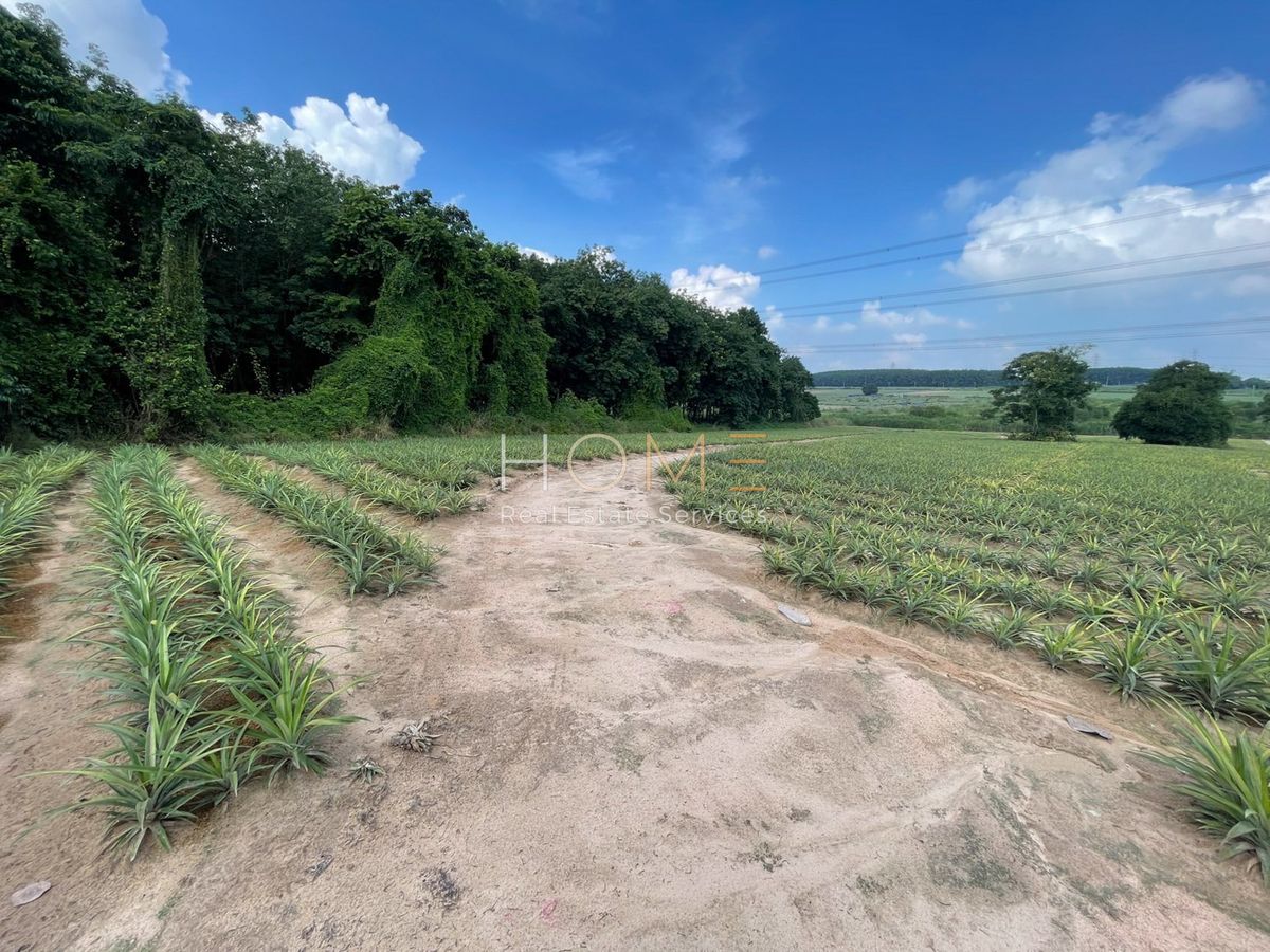 ขายที่ดินระยอง : 🟪 ที่ดินระยอง 10 ไร่ ผังม่วงลาย ติดถนน 2015 🟪 (FOR SALE) NUT2210