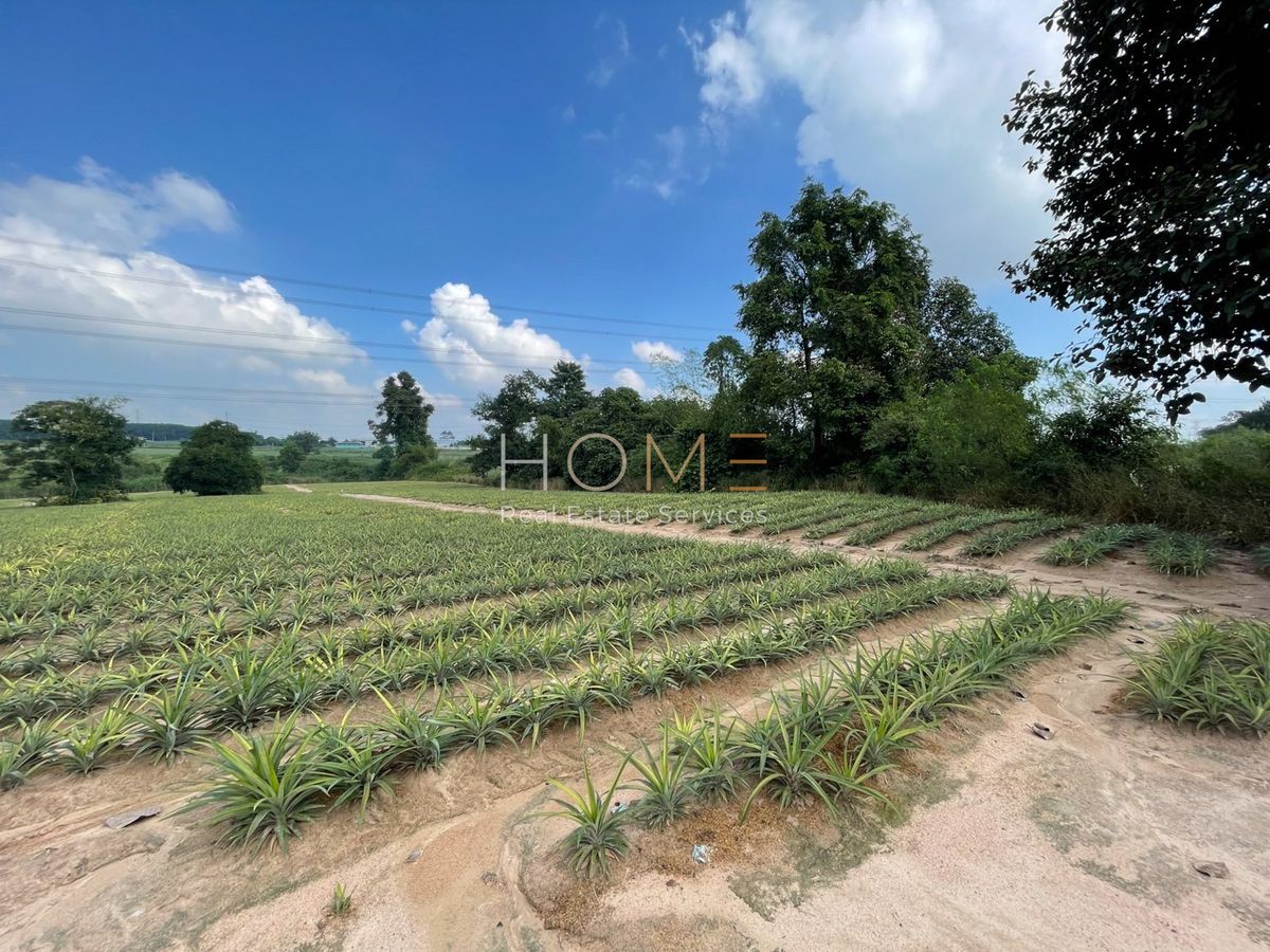 ขายที่ดินระยอง : 🟪 ที่ดินระยอง 10 ไร่ ผังม่วงลาย ติดถนน 2015 🟪 (FOR SALE) NUT2210