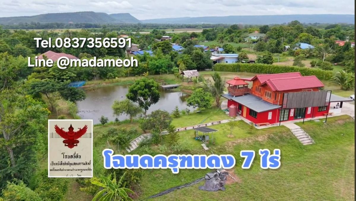 ขายที่ดินโคราช นครราชสีมา : 💥​เจ้าของขายเอง🌻ลาดบัวขาวโคราช🌻ดินดี​ 🌻อากาศดี ​