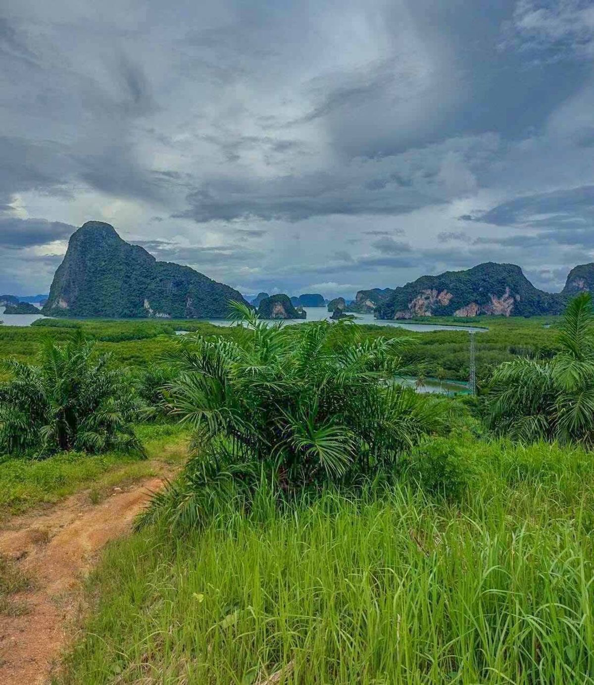 ขายที่ดินพังงา : ขาย ที่ดิน ขนาดใหญ่ 24 ไร่ 2 งาน 58. ตร.ว. คลองเคียน  ตะกั่วทุ่ง จ.พังงา 