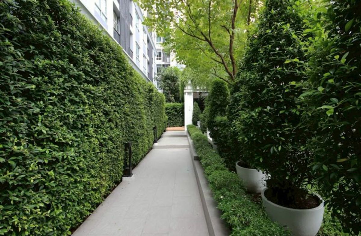 ขายคอนโดลาดพร้าว เซ็นทรัลลาดพร้าว : ขาย คอนโด The Tree ลาดพร้าว 15 ขนาด 26.38 ตารางเมตร ชั้น 3 (ซอยลาดพร้าว 15 แยก 7 ) แขวงจอมพล เขตจตุจักร กรุงเทพมหานคร