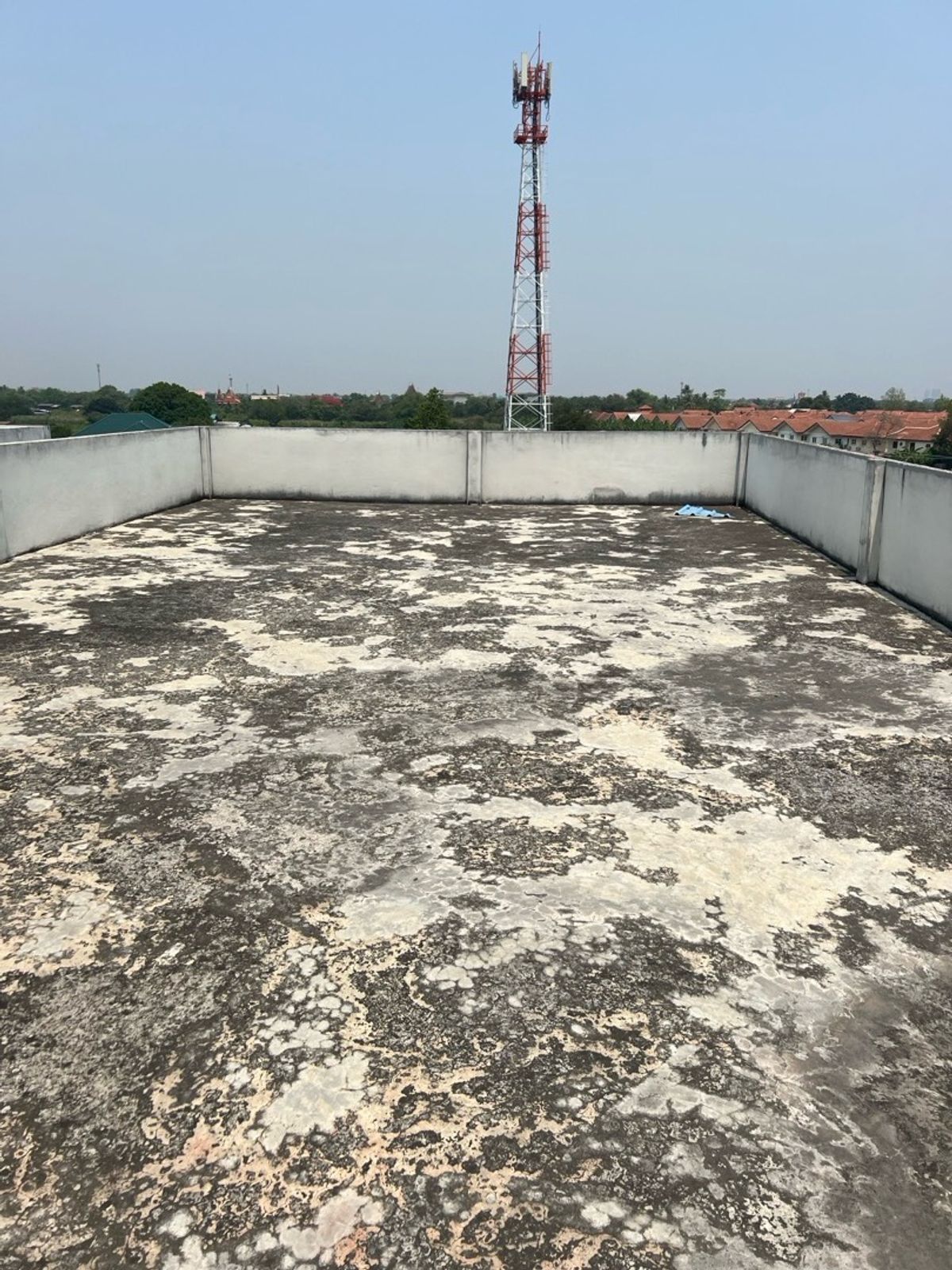 ขายทาวน์โฮมพุทธมณฑล ศาลายา : 9.9ล้านบาท.-ขายตามสภาพด่วน!ต่ำกว่าราคาตลาด3ล้านบาท ติดถนน ตรงข้ามศาลาธรรมสพน์ ซอยน์22 พุทธมณฑลสาย2 