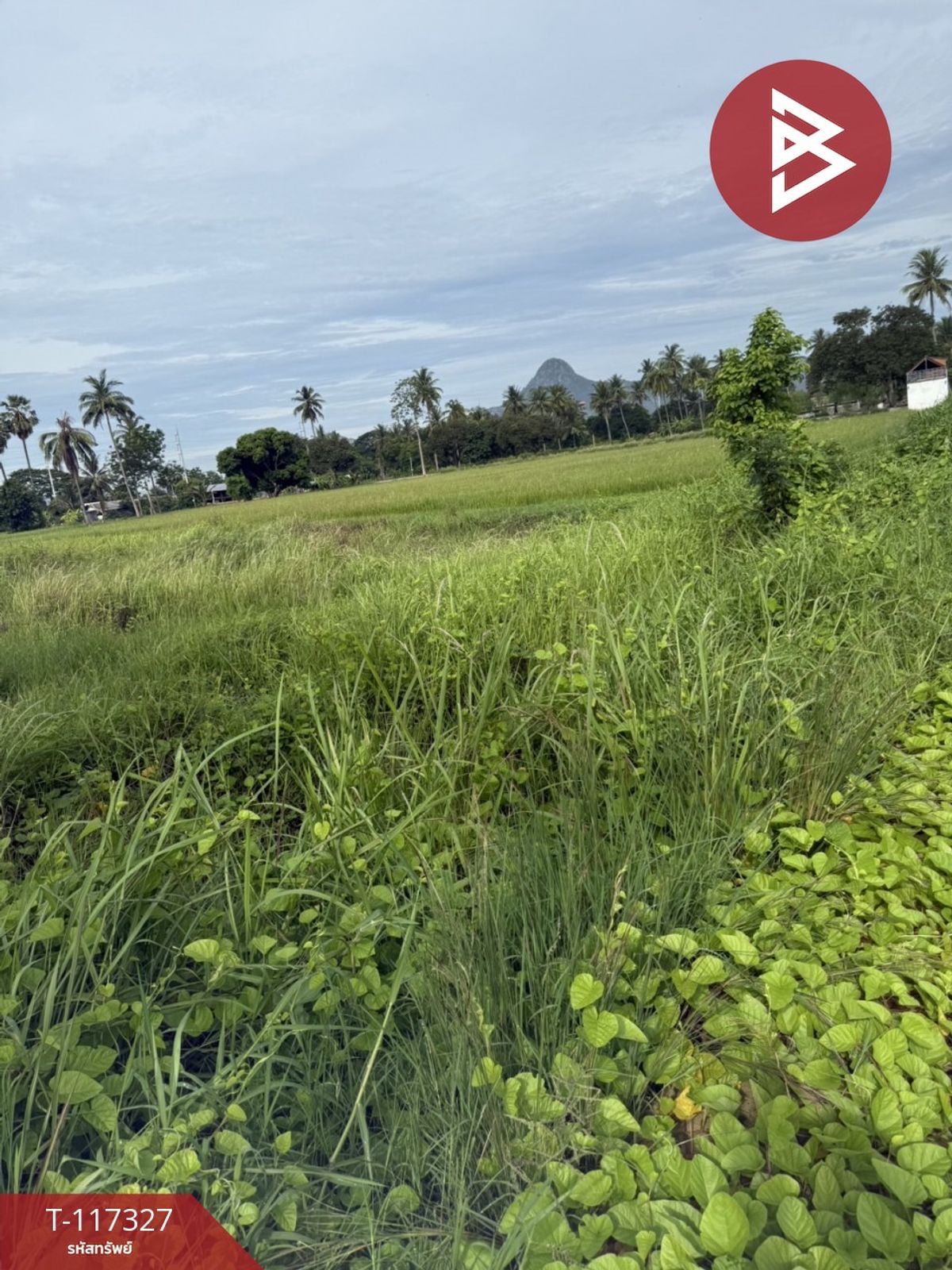 For SaleLandCha-am Phetchaburi : Land for sale in an area of 4 rai 61.2 square wah, Khao Yoi Phetchaburi