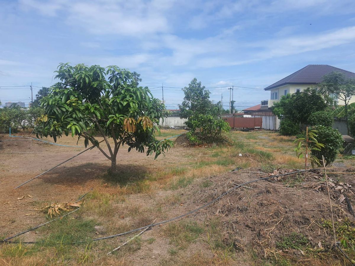 ขายที่ดินนนทบุรี บางใหญ่ บางบัวทอง : ขายที่ดิน 2 ไร่ 237 ตรว. ถมแล้วสูงกว่าถนน 1 ม. มีกำแพงปูนกันดิน 4 ด้าน