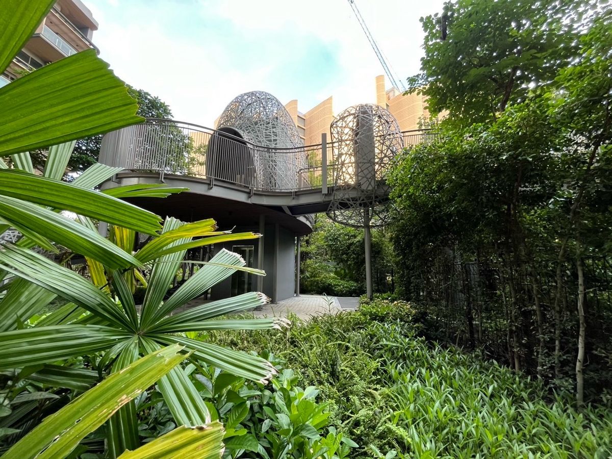 ให้เช่าคอนโดบางนา แบริ่ง ลาซาล : 🌳 Whizdom The Forestias – A Nature 30 Rai-Inspired Luxury Condo ♥️1 bed 