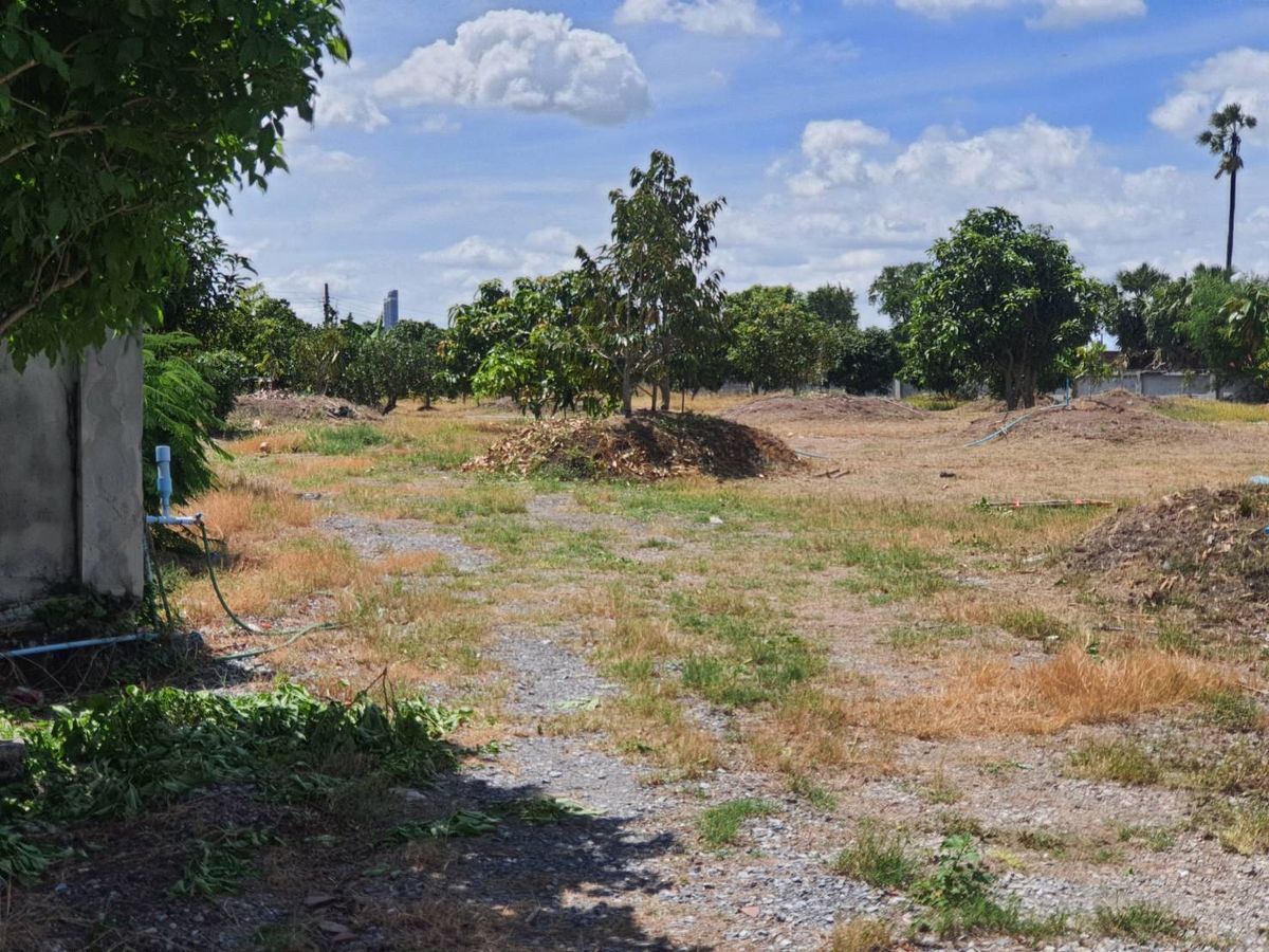 ขายที่ดินนนทบุรี บางใหญ่ บางบัวทอง : ขายที่ดิน 2 ไร่ 237 ตรว. ถมแล้วสูงกว่าถนน 1 ม. มีกำแพงปูนกันดิน 4 ด้าน