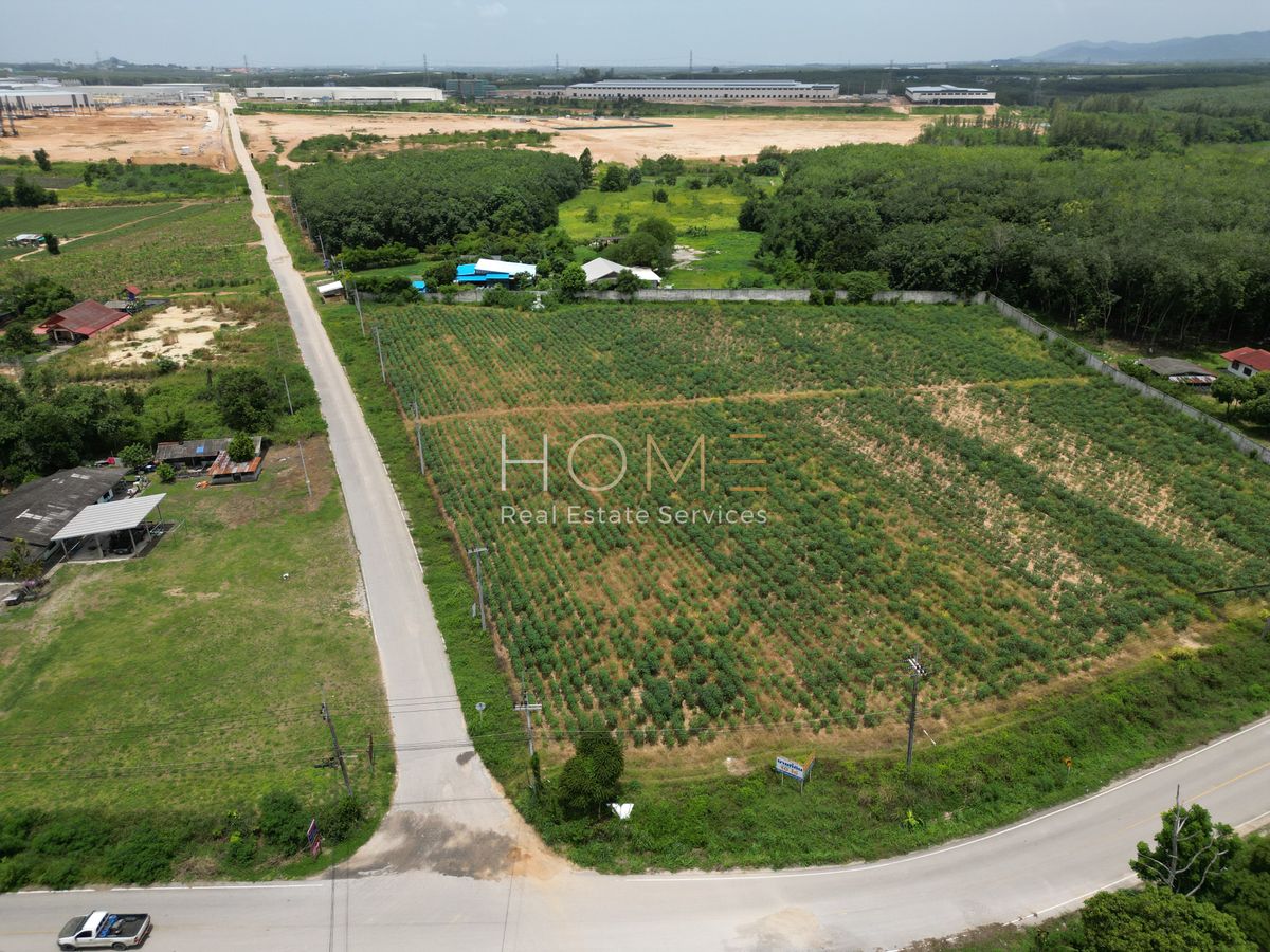 ขายที่ดินระยอง : 🟡 จับจองด่วน! ที่ดิน 10 ไร่ ศักยภาพสูง ติดนิคมอุตสาหกรรมปิ่นทอง 6 กลางโซนอุตสาหกรรมปลวกแดง ✨ (FOR SALE) NUT2212