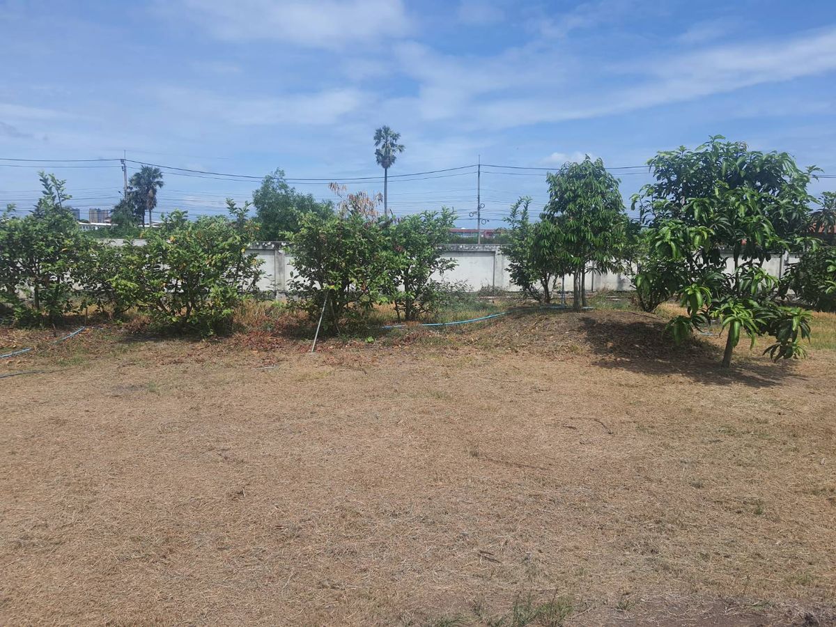 ขายที่ดินนนทบุรี บางใหญ่ บางบัวทอง : ขายที่ดิน 2 ไร่ 237 ตรว. ถมแล้วสูงกว่าถนน 1 ม. มีกำแพงปูนกันดิน 4 ด้าน