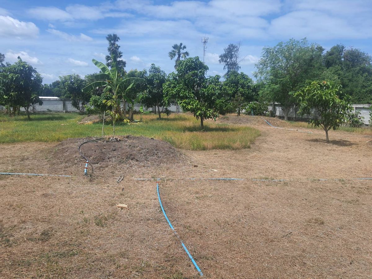 ขายที่ดินนนทบุรี บางใหญ่ บางบัวทอง : ขายที่ดิน 2 ไร่ 237 ตรว. ถมแล้วสูงกว่าถนน 1 ม. มีกำแพงปูนกันดิน 4 ด้าน