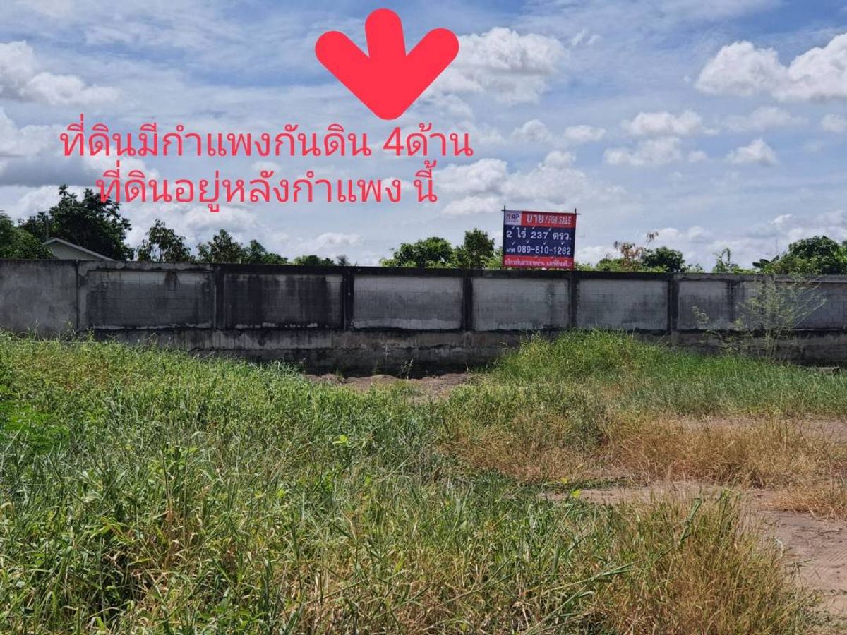 ขายที่ดินนนทบุรี บางใหญ่ บางบัวทอง : ขายที่ดิน 2 ไร่ 237 ตรว. ถมแล้วสูงกว่าถนน 1 ม. มีกำแพงปูนกันดิน 4 ด้าน
