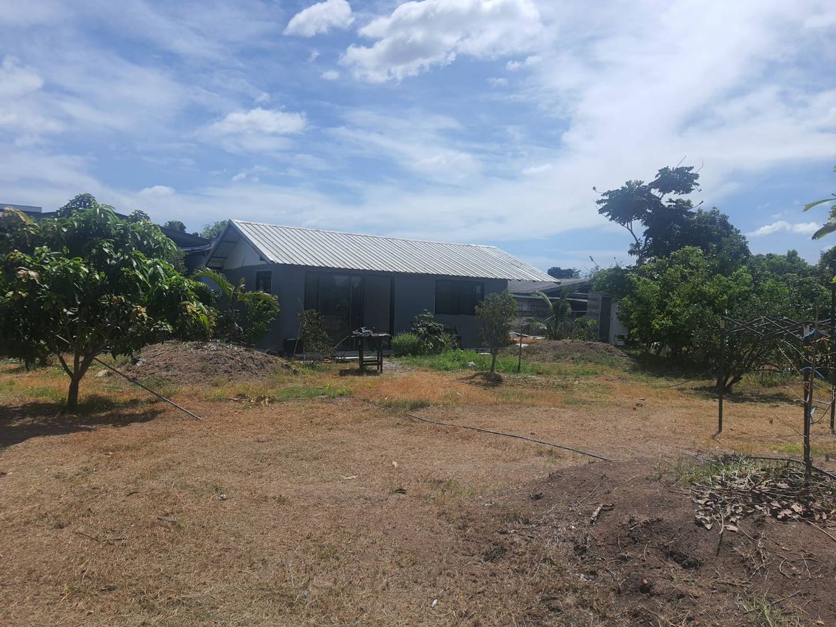 ขายที่ดินนนทบุรี บางใหญ่ บางบัวทอง : ขายที่ดิน 2 ไร่ 237 ตรว. ถมแล้วสูงกว่าถนน 1 ม. มีกำแพงปูนกันดิน 4 ด้าน