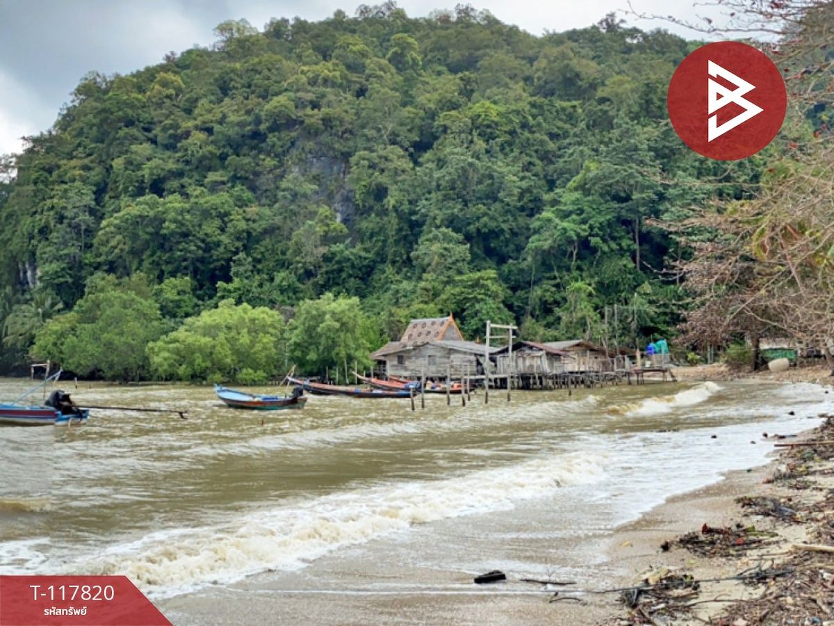 ขายที่ดินชุมพร : ขายที่ดิน เนื้อที่ 7 ไร่ 2 งาน 39.1 ตร.วา สวี ชุมพร