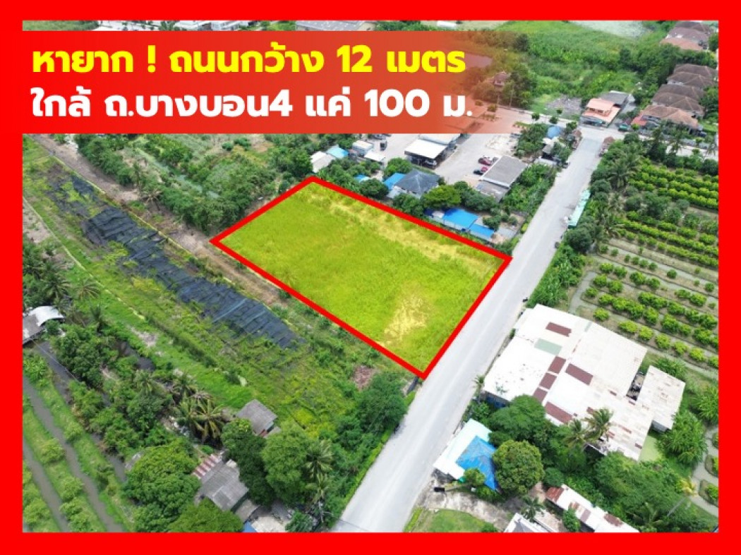 ขายที่ดินเอกชัย บางบอน : ขาย ที่ดิน 2 ไร่ บางบอน 4 ซอย 7  ใกล้ถ.บางบอน 4 แค่ 100 ม. KK