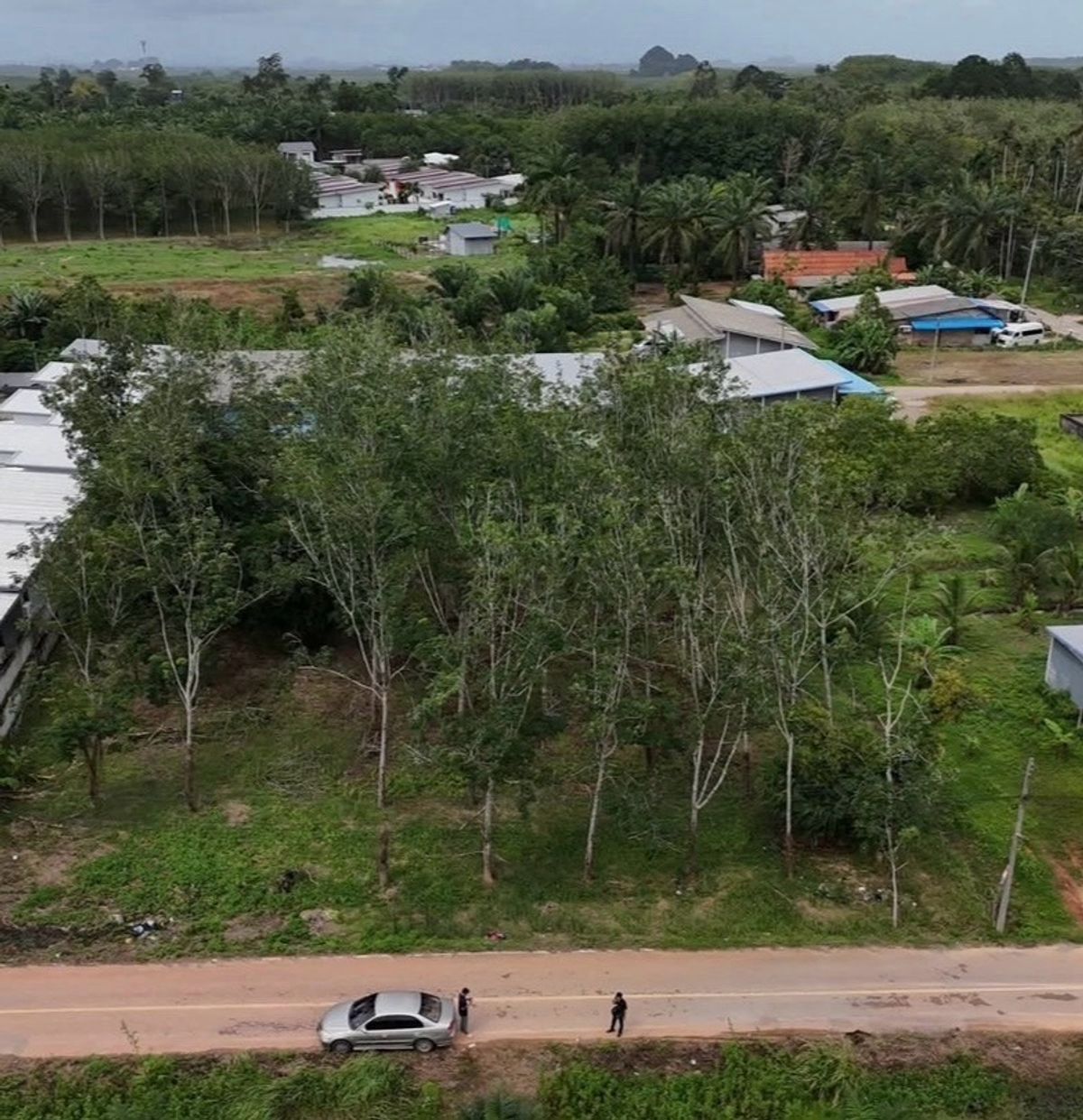 ขายที่ดินกระบี่ : 📢 ที่ดินผืนใหญ่ รูปสี่เหลี่ยมจัตุรัส ใกล้แหล่งชุมชนและชายหาดอ่าวนาง เหมาะสำหรับสร้างบ้านพักตากอากาศ รีสอร์ต หรือบ้านพักส่วนตัว บรรยากาศเงียบสงบ ไม่ไกลจากแหล่งอำนวยความสะดวกและชายทะเล