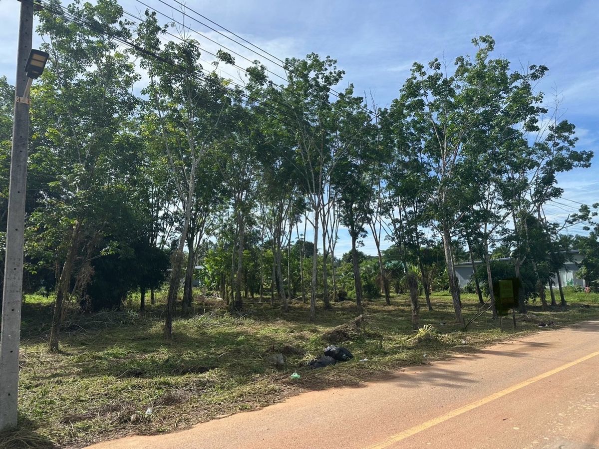 ขายที่ดินกระบี่ : 📢 ที่ดินผืนใหญ่ รูปสี่เหลี่ยมจัตุรัส ใกล้แหล่งชุมชนและชายหาดอ่าวนาง เหมาะสำหรับสร้างบ้านพักตากอากาศ รีสอร์ต หรือบ้านพักส่วนตัว บรรยากาศเงียบสงบ ไม่ไกลจากแหล่งอำนวยความสะดวกและชายทะเล