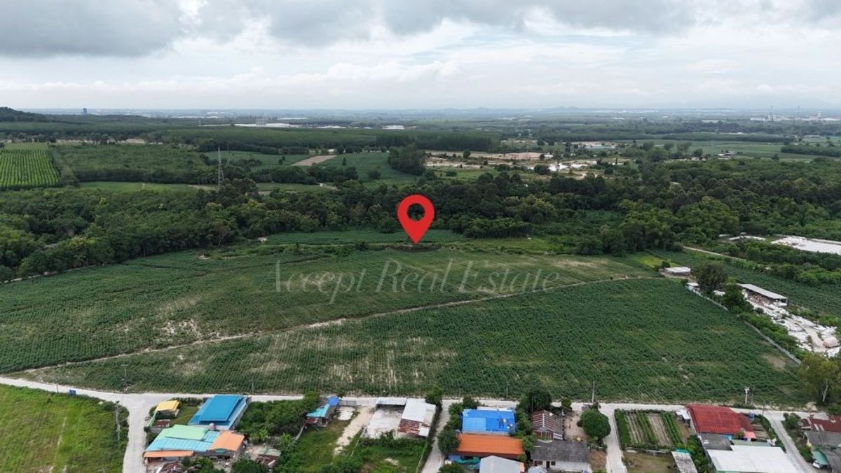 ขายที่ดินระยอง : ขายที่ดินแปลงใหญ่ ห้วยโป่ง ระยอง ติดถนนสาธารณะ 43-0-19 ไร่