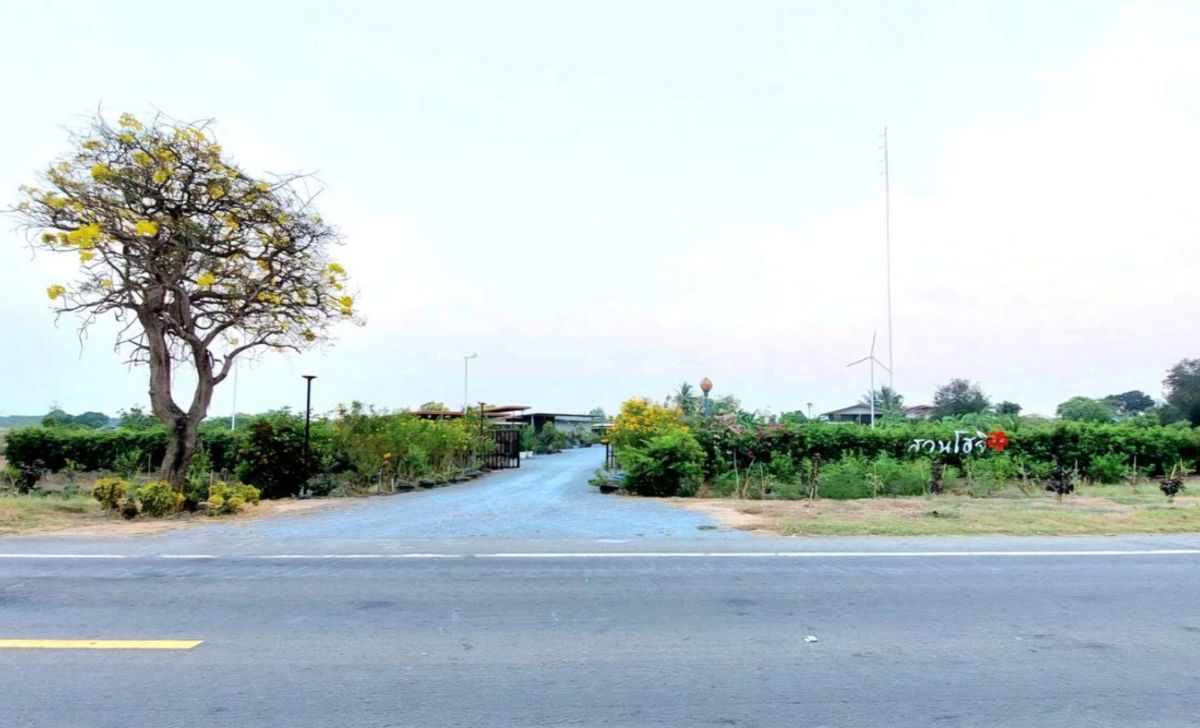 For SaleLandSuphan Buri : Inquiries: 065-663-3286, Hoji Garden for sale, land with 3 rai of buildings, 100 meters wide, next to the road 3502 (Suphanburi Dok Mai Road), Nong Ya Sai District Suphan Buri Province (The owner sells by himself)