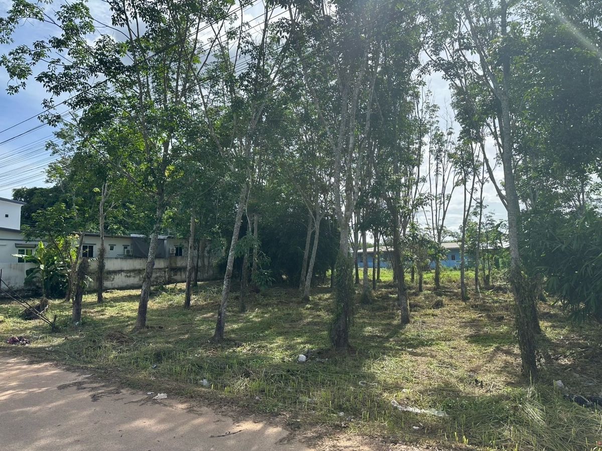 For SaleLandKrabi : 📢 Large Land Plot in Krabi – Close to Ao Nang Beach, square-shaped plot.Perfect for a private villa, holiday home, or boutique resort. Quiet and peaceful 