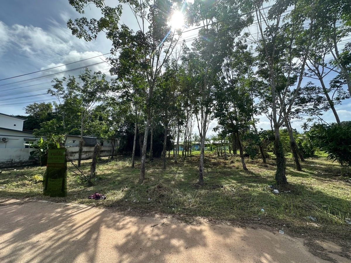 ขายที่ดินกระบี่ : 📢 ที่ดินผืนใหญ่ รูปสี่เหลี่ยมจัตุรัส ใกล้แหล่งชุมชนและชายหาดอ่าวนาง เหมาะสำหรับสร้างบ้านพักตากอากาศ รีสอร์ต หรือบ้านพักส่วนตัว บรรยากาศเงียบสงบ ไม่ไกลจากแหล่งอำนวยความสะดวกและชายทะเล