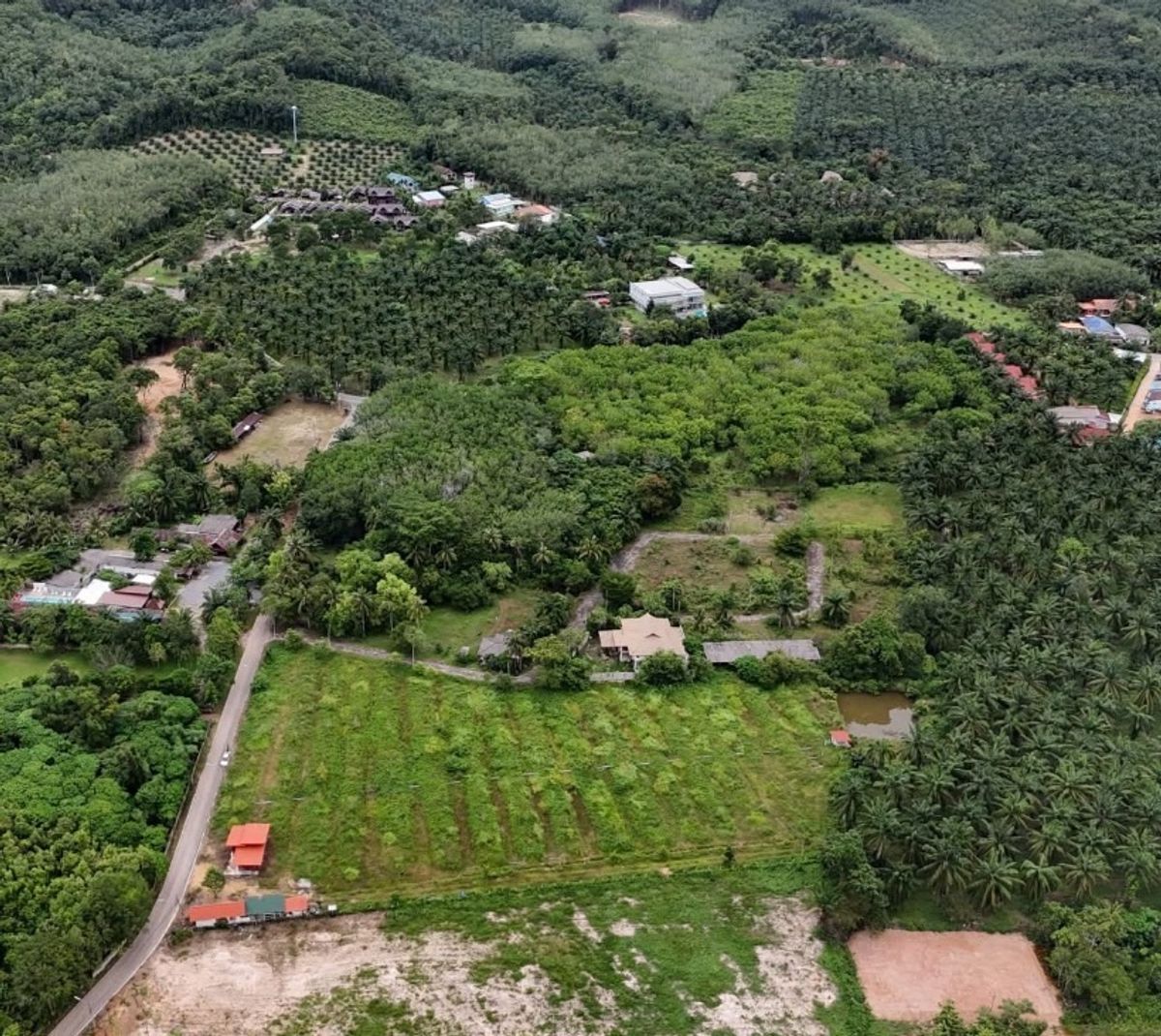 ขายที่ดินกระบี่ : 📢 ที่ดินผืนใหญ่ ใกล้ท่าเรืออ่าวน้ำเมา กระบี่ ใกล้แหล่งชุมชนและชายหาดอ่าวนาง เหมาะสำหรับสร้างบ้านพักตากอากาศ รีสอร์ต หรือบ้านพักส่วนตัว บรรยากาศเงียบสงบ ไม่ไกลจากแหล่งอำนวยความสะดวกและชายทะเล