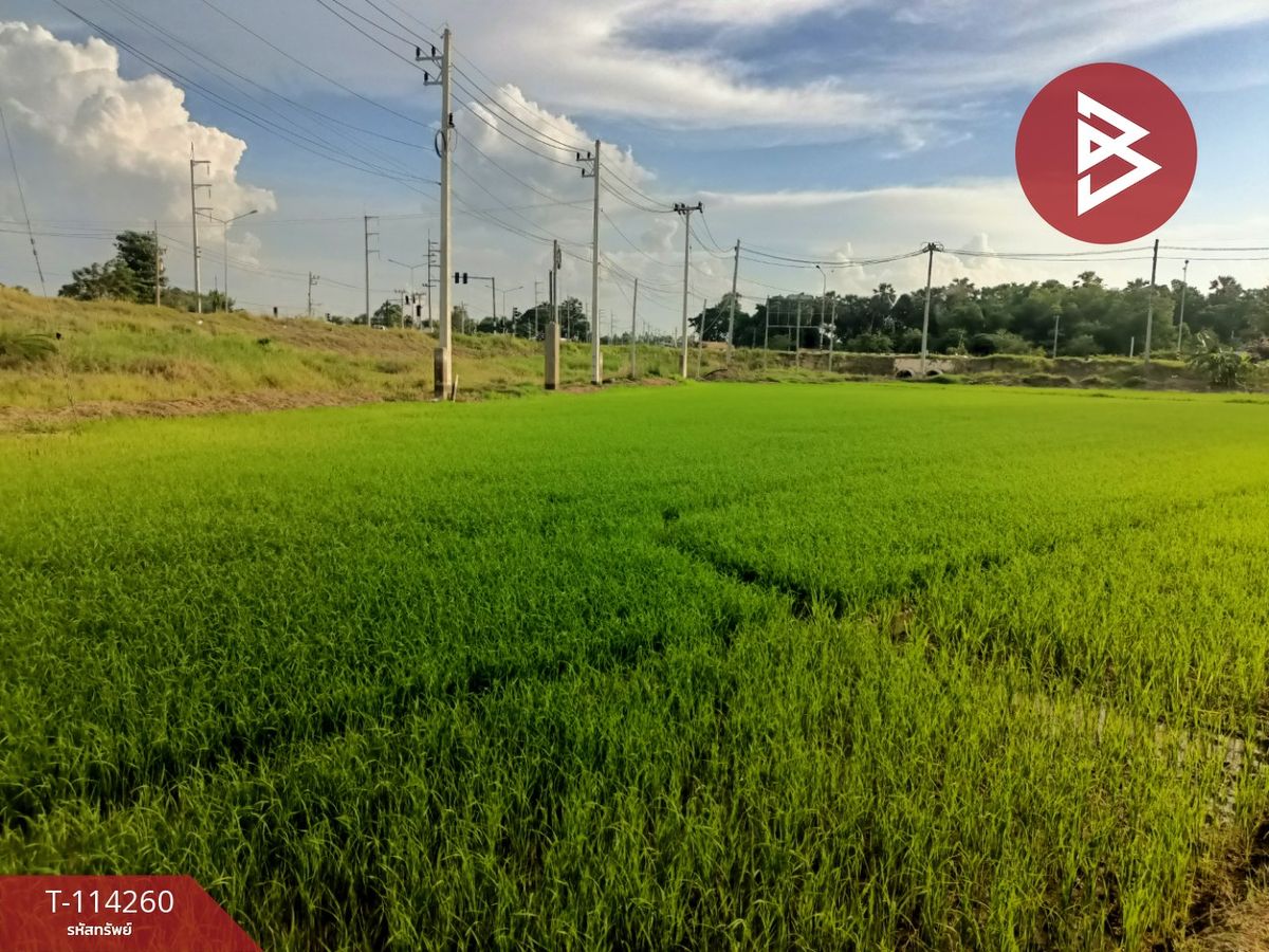 For SaleLandNakhon Sawan : Land for sale in an area of 1 rai 2 ngan 5.1 sq.w. Chumsaeng Nakhon Sawan