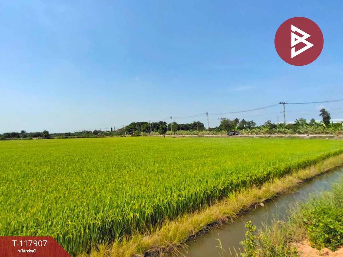ขายที่ดินนนทบุรี บางใหญ่ บางบัวทอง : ขายที่ดิน เนื้อที่ 13 ไร่ 9 ตร.วา ไทรน้อย นนทบุรี