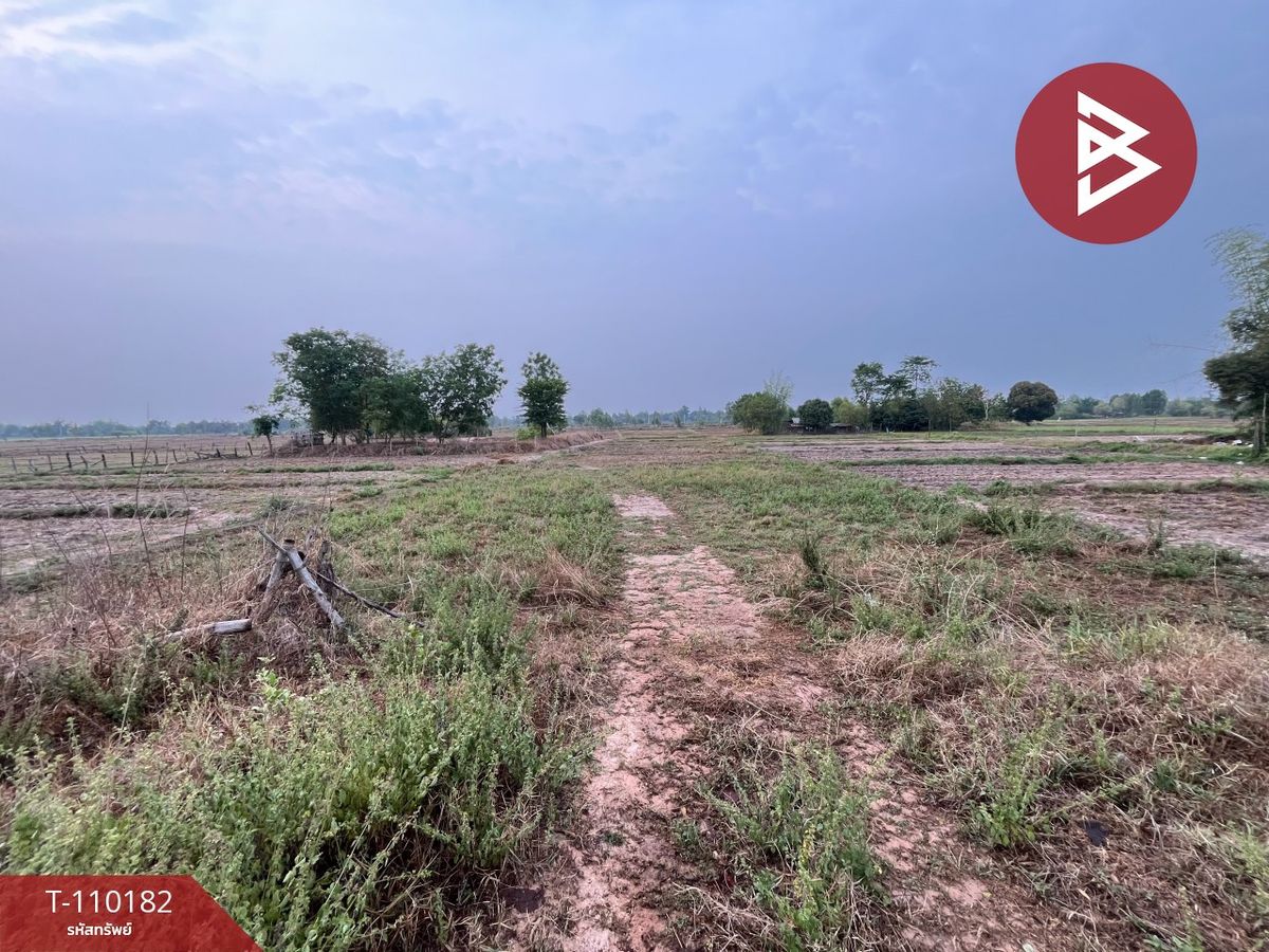 For SaleLandUdon Thani : Land for sale, area of 4 rai, Phen Subdistrict, Udon Thani Province