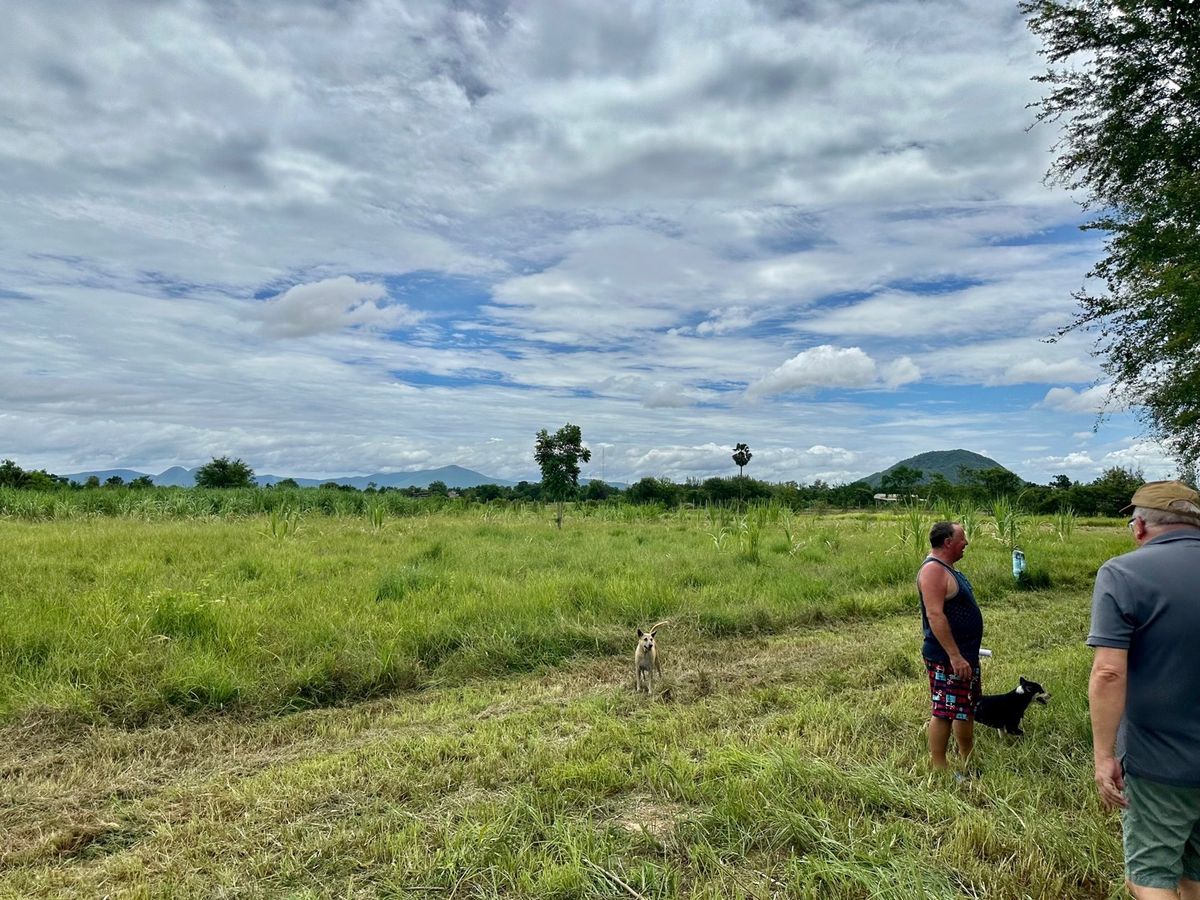 ขายที่ดินชะอำ เพชรบุรี : ขายถูก 𝟮𝟮 ไร่ 𝟰.𝟵𝟱 ล้านบาท📍แก่งกระจานเพชรบุรี