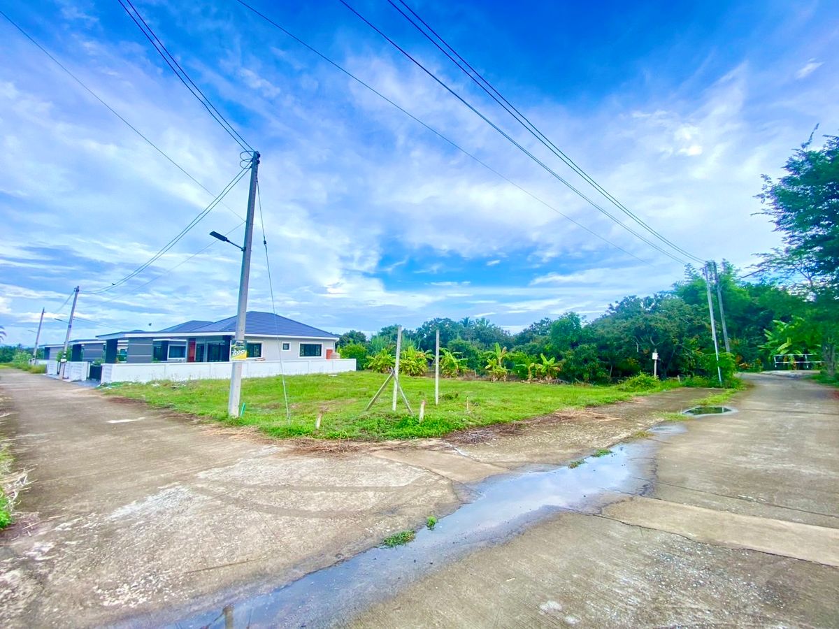 For SaleLandChiang Mai : Saraphi Land 100 Sq. (Front of water, concrete road and then have electricity and water supply)