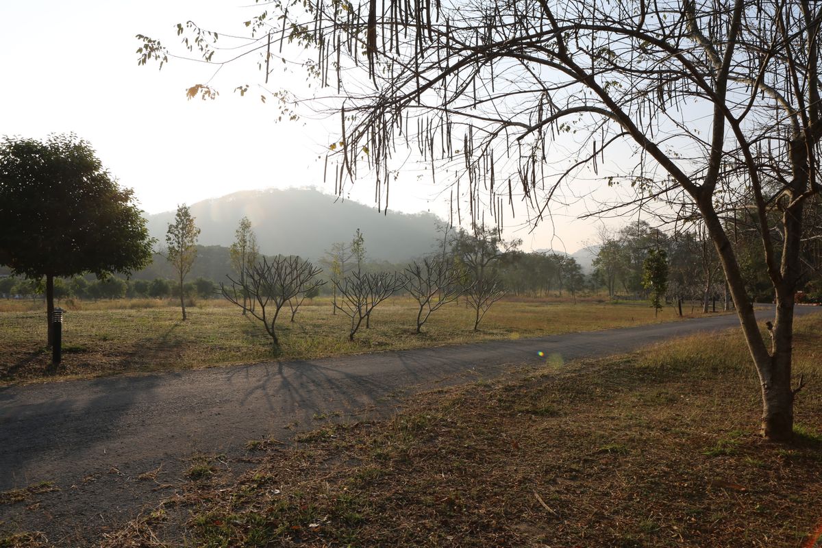 For SaleLandPak Chong KhaoYai : 🌿 Land for sale 116 rai with a water resort house | Pak Chong District, Nakhon Ratchasima Province 🌿