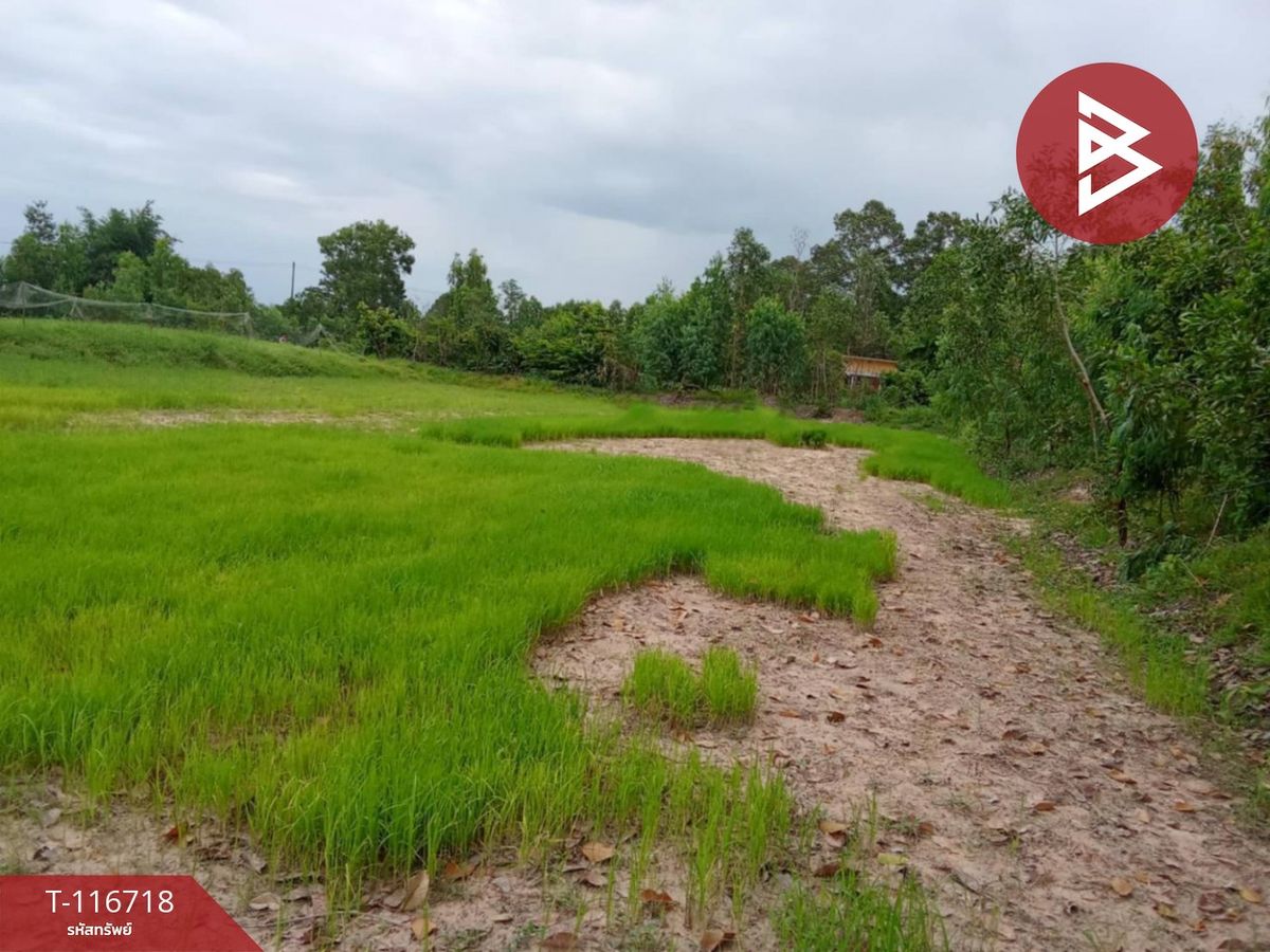 For SaleLandRoi Et : Land for sale, area of 3 rai 2 ngan 50 square wah