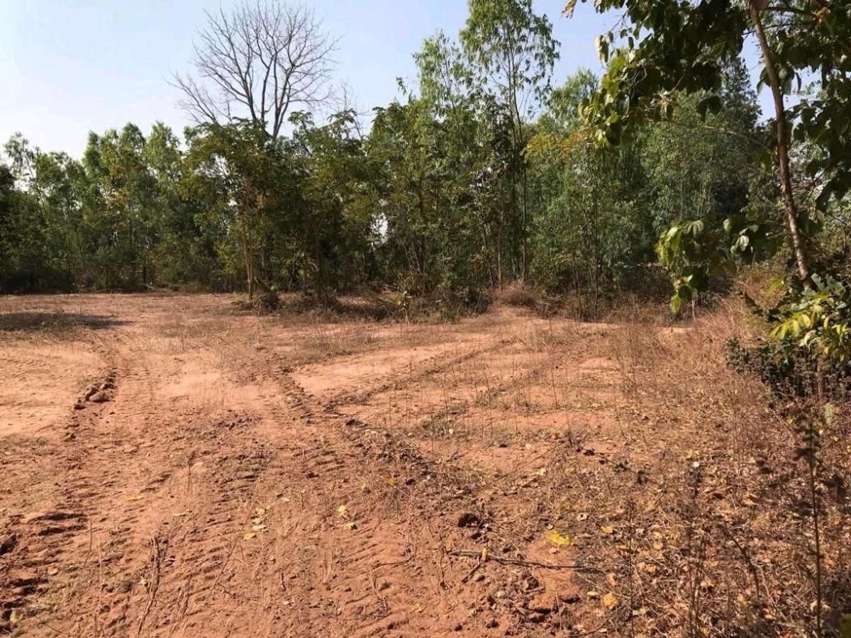 For SaleLandSa Kaeo : Land for sale near the border