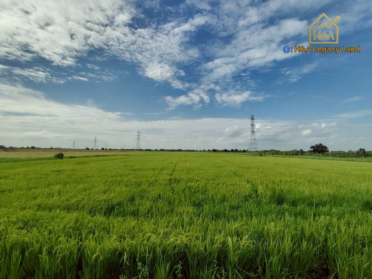 For SaleLandAyutthaya : 📣 Sell beautiful land for beautiful plots on the main road, FDA 3006 Lat Bua Luang-Mai Tai, Lat Bua Luang District, Phra Nakhon Si Ayutthaya Province, 30-3-74 rai