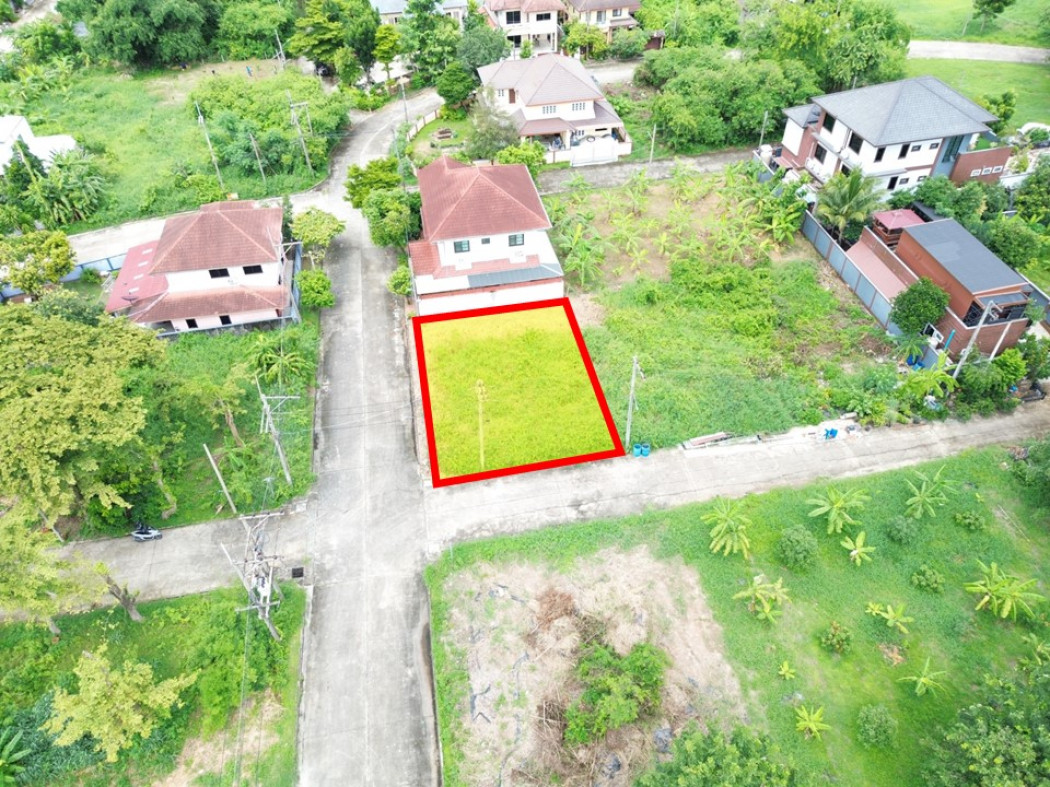 ขายที่ดินปทุมธานี รังสิต ธรรมศาสตร์ : ขาย ที่ดิน หมู่บ้านปาริชาต บางคูวัด 69 ตรว ใกล้ถ.สะพานนนทบุรี-บางบัวทองแค่ 1.7 กม. KK
