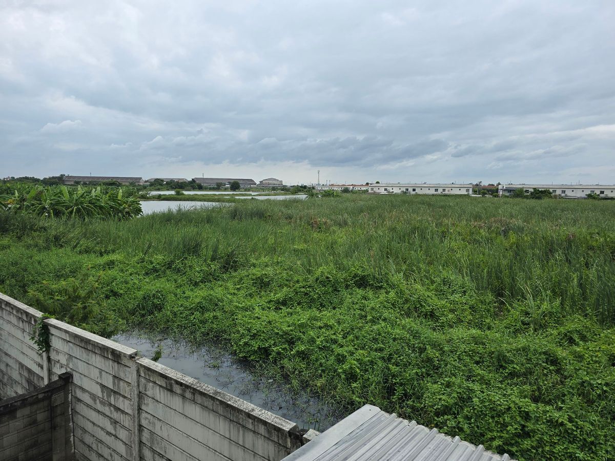 ขายทาวน์โฮมพระราม 2 บางขุนเทียน : ทาวน์โฮม กัสโต้ พระราม2-เทียนทะเล 19  อารมณ์บ้านเดี่ยว เนื้อที่ 21.4 ตรว. หน้าบ้านไม่ชนใคร ถนนเมน