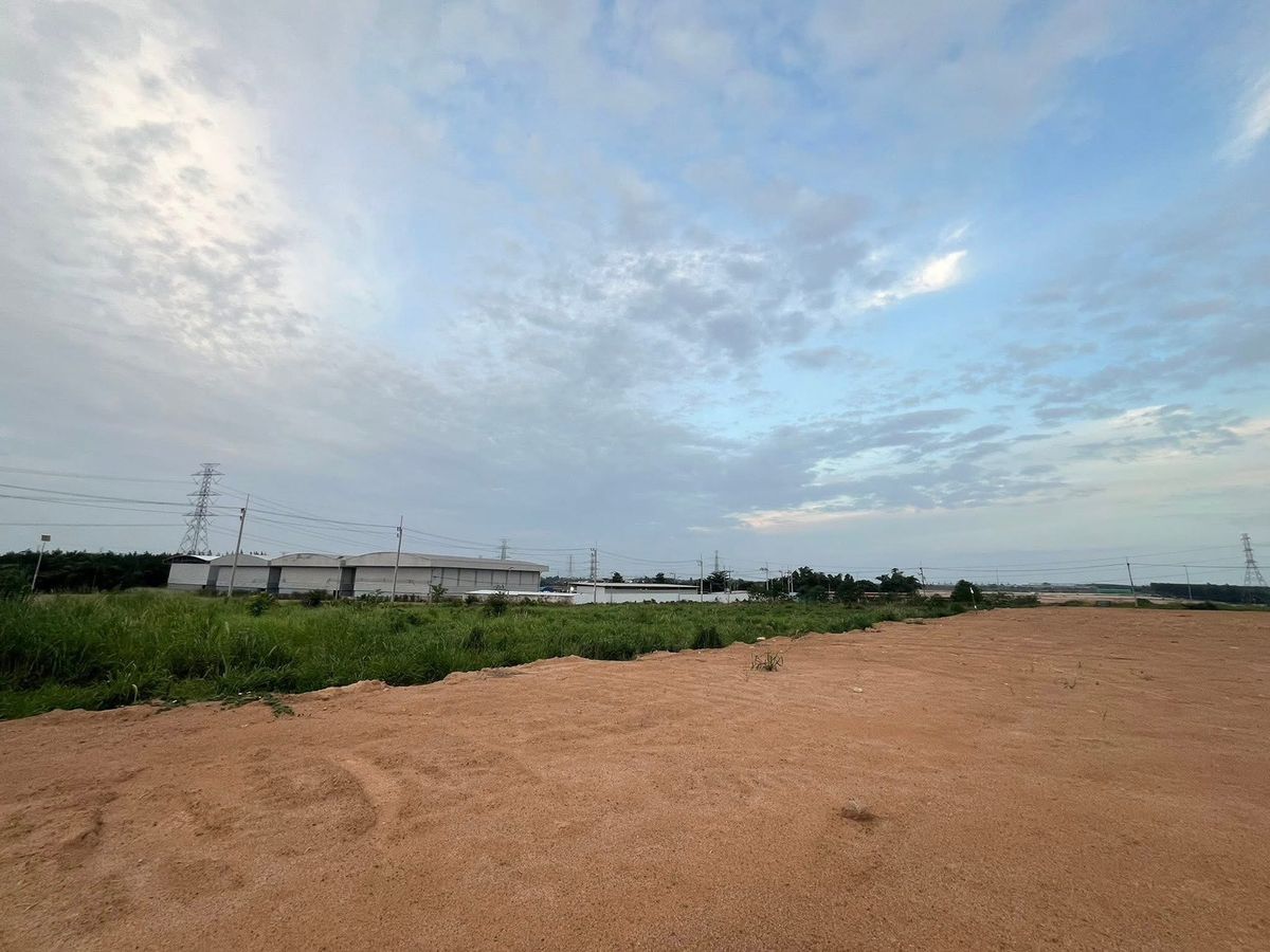 For SaleLandRayong : Land for Sale in Industrial Zone, Rayong