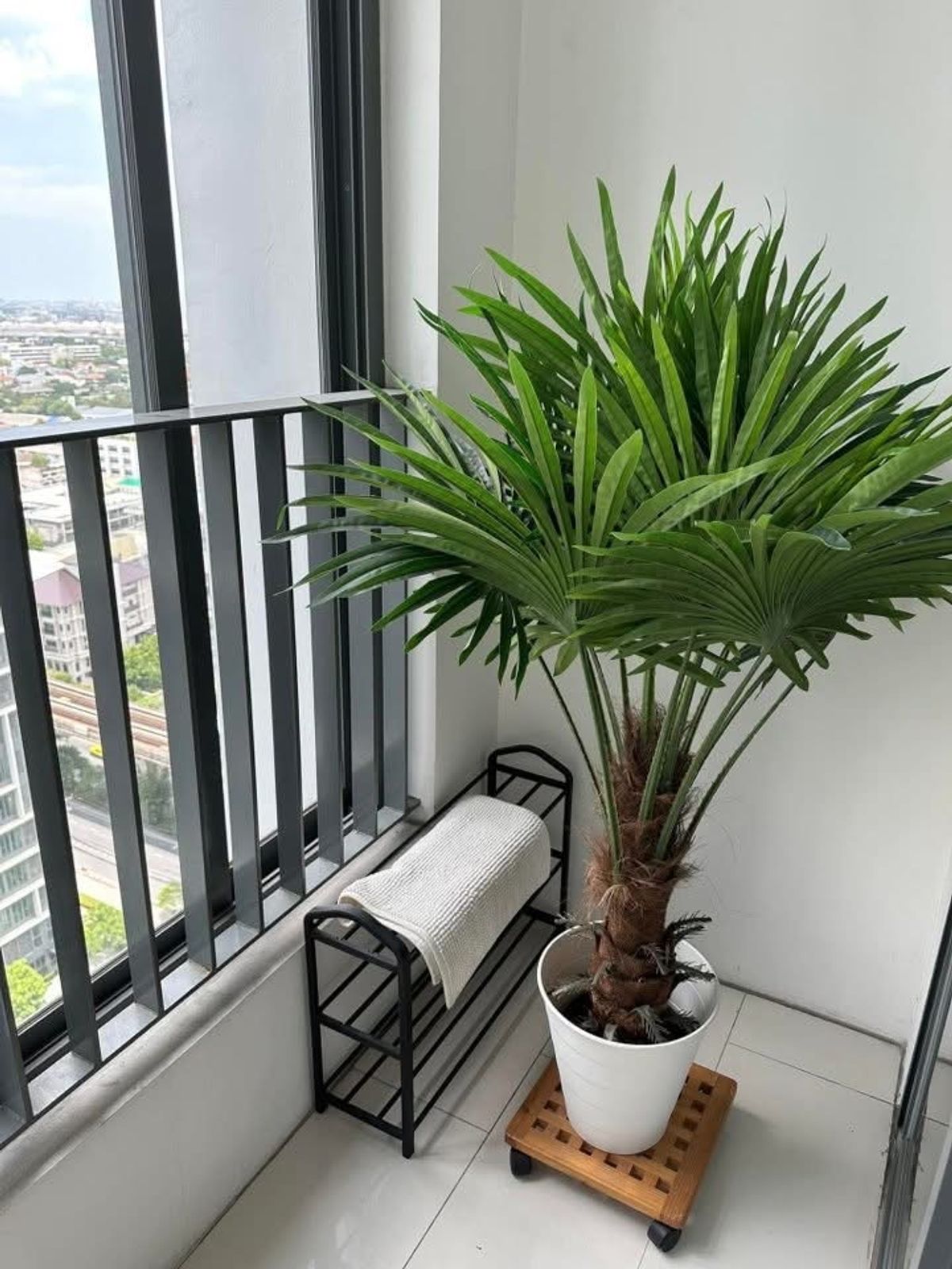 For RentCondoOnnut, Udomsuk : P-2764 Urgent rent! Ideo Mobi Sukhumvit 81 Condo, ready to be near BTS On Nut