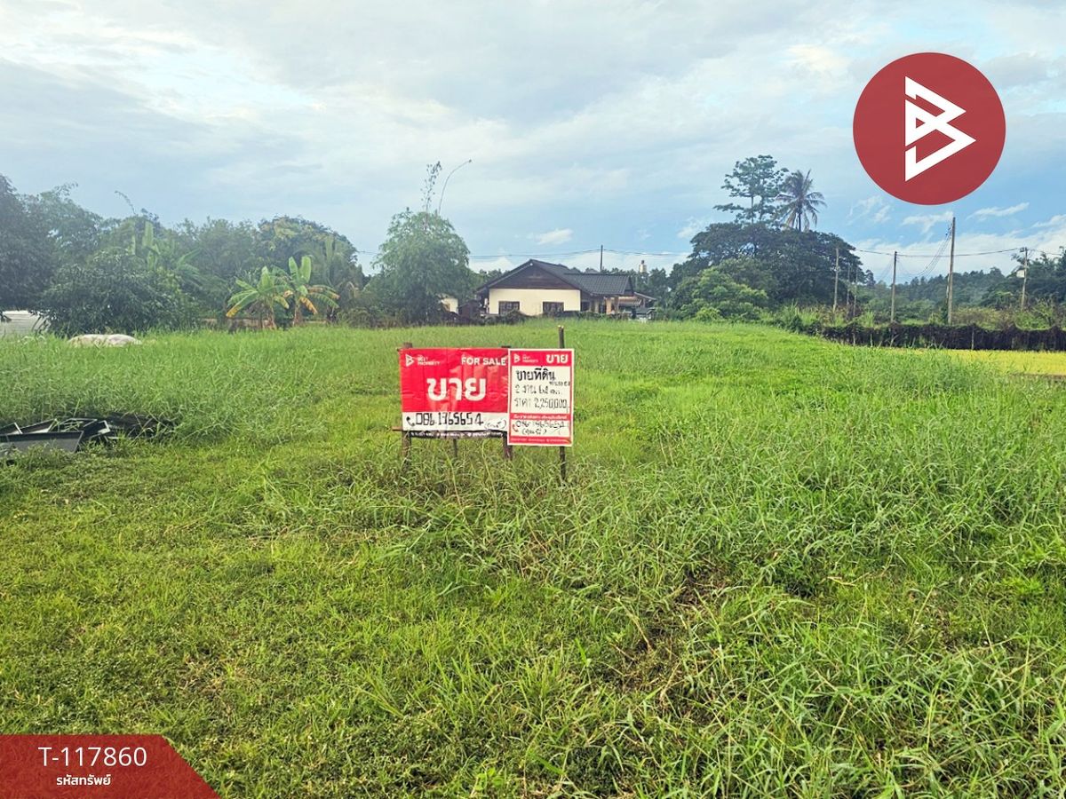 For SaleLandChiang Mai : Land for sale, area 2 jobs, 64 sq.w., Chiang Mai