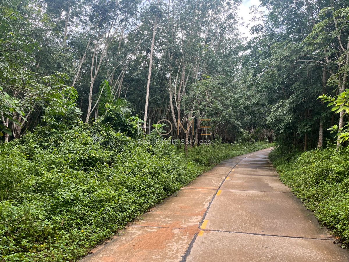 ขายที่ดินระยอง : ✨ 477 ไร่ ทำเลทอง ฟาร์มปศุสัตว์–เกษตรอินทรีย์–รีสอร์ท ได้หมด! ✨ (FOR SALE) NUT2214