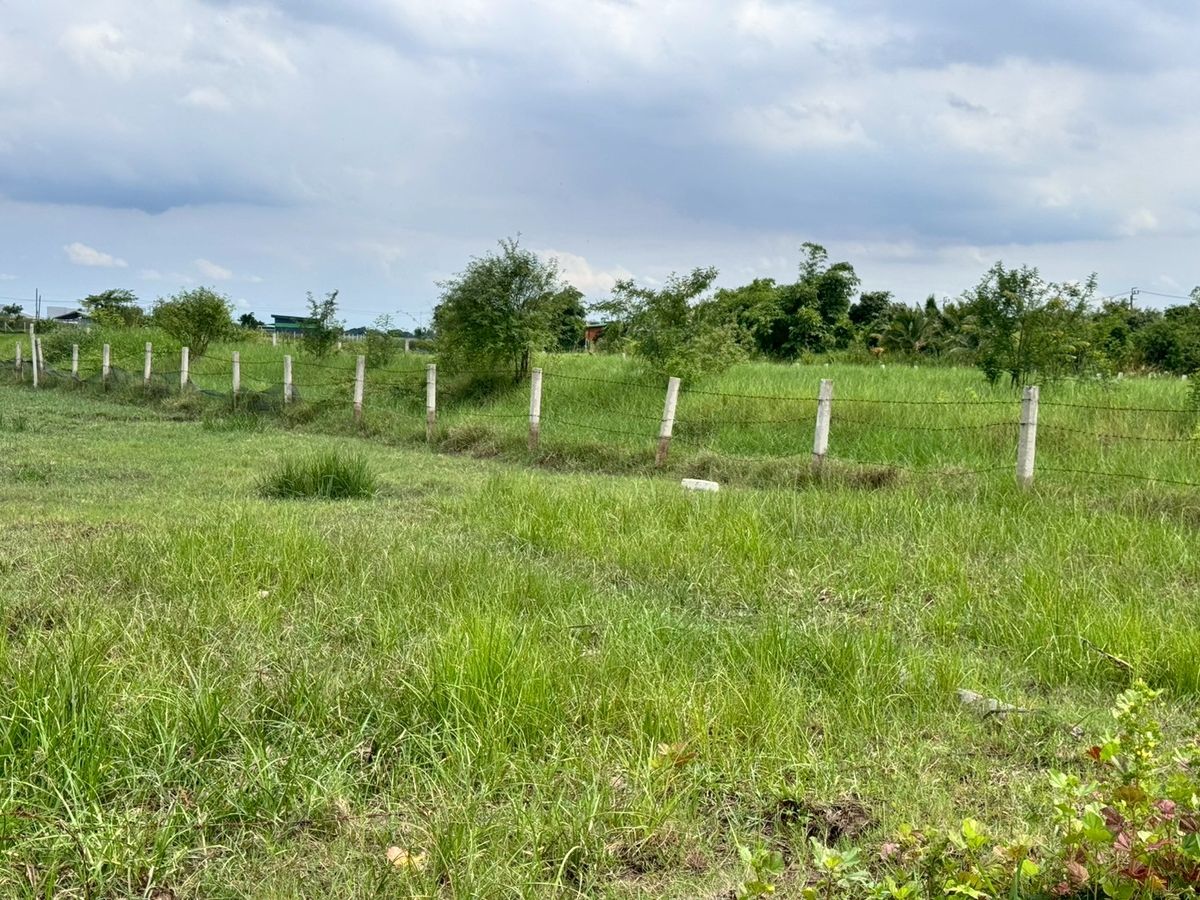 ขายที่ดินมีนบุรี-ร่มเกล้า : ขายถูกมาก ที่ดินเปล่าหนองจอก 200 ตารางวา (N.650)