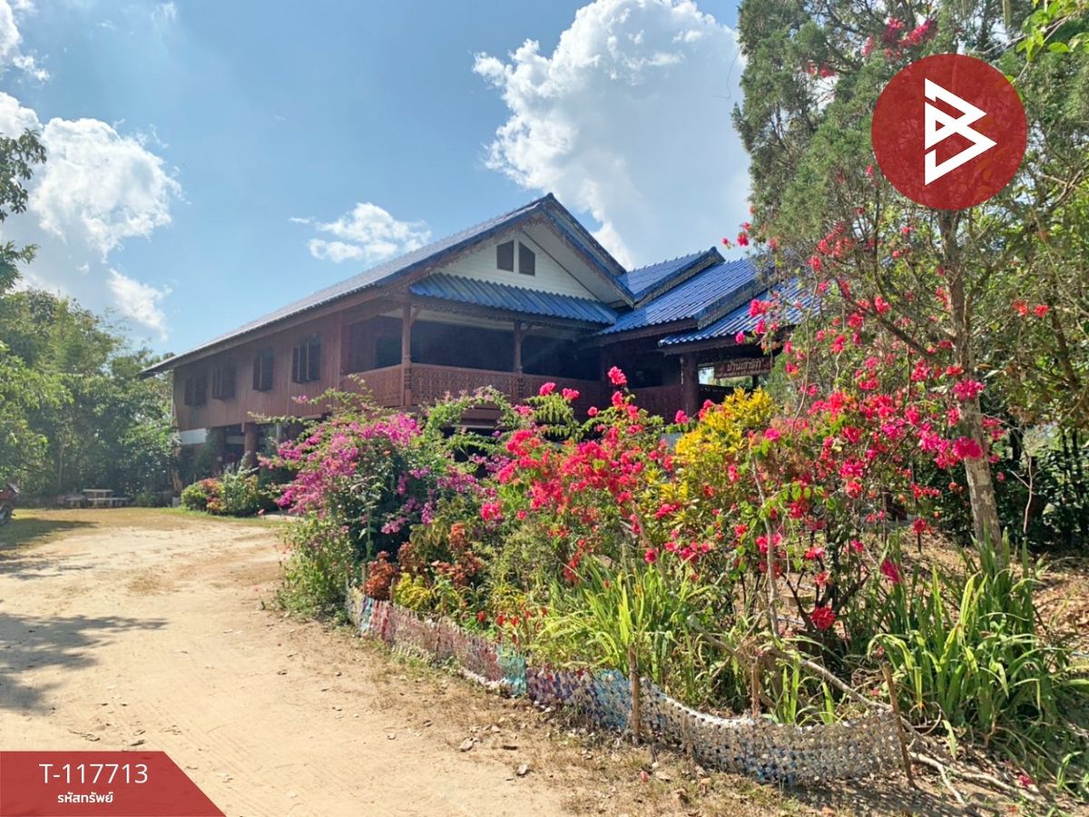ขายบ้านเชียงราย : ขายบ้านเดี่ยวพร้อมที่ดิน เนื้อที่ 8 ไร่ 2 งาน 16 ตร.วา เวียงป่าเป้า เชียงราย