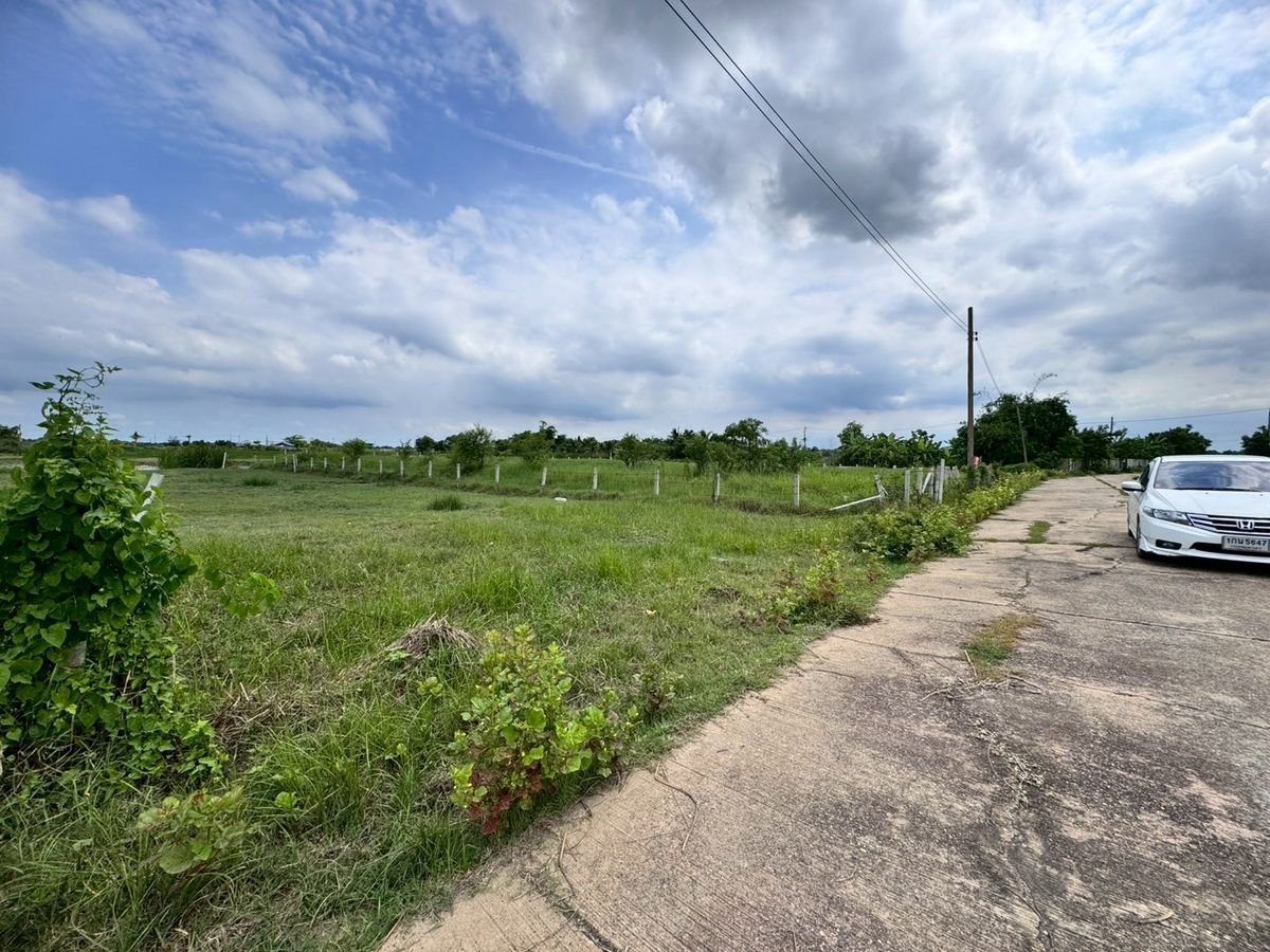 ขายที่ดินมีนบุรี-ร่มเกล้า : ขายถูกมาก ที่ดินเปล่าหนองจอก 200 ตารางวา (N.650)