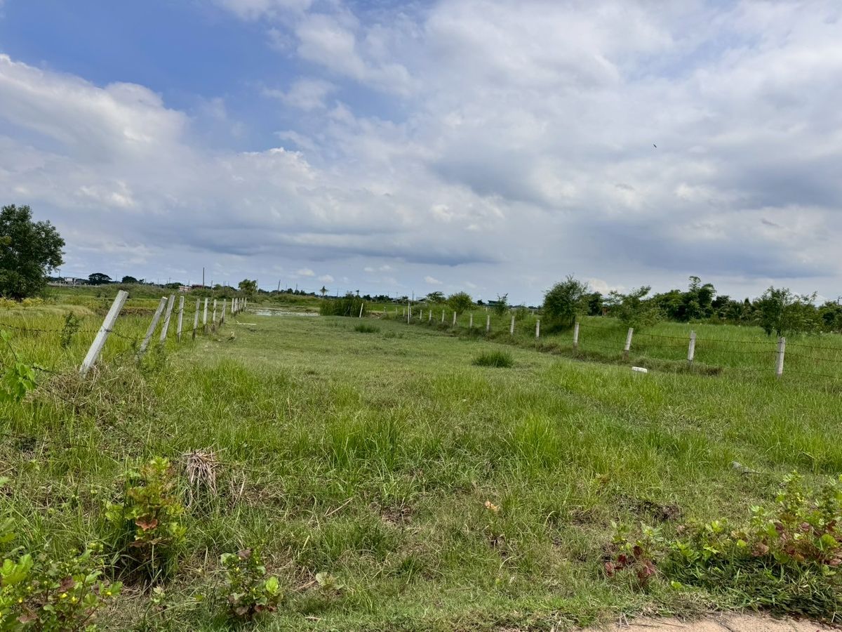 ขายที่ดินมีนบุรี-ร่มเกล้า : ขายถูกมาก ที่ดินเปล่าหนองจอก 200 ตารางวา (N.650)