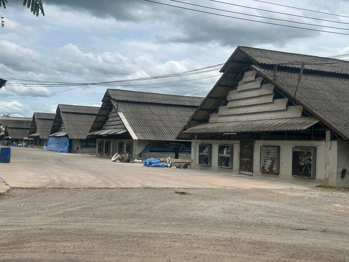 For SaleFactoryRatchaburi : Pork farm for sale in Ratchaburi 278 rai