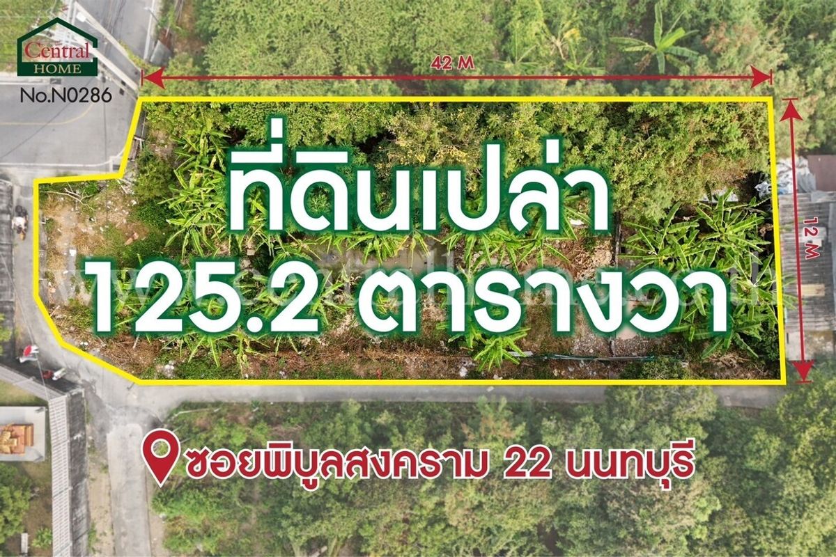 ขายที่ดินนนทบุรี บางใหญ่ บางบัวทอง : ที่ดินเปล่า 125.2 ตารางวา ซอยพิบูลสงคราม 22 ซอยวัดกำแพง ราคาถูกมาก