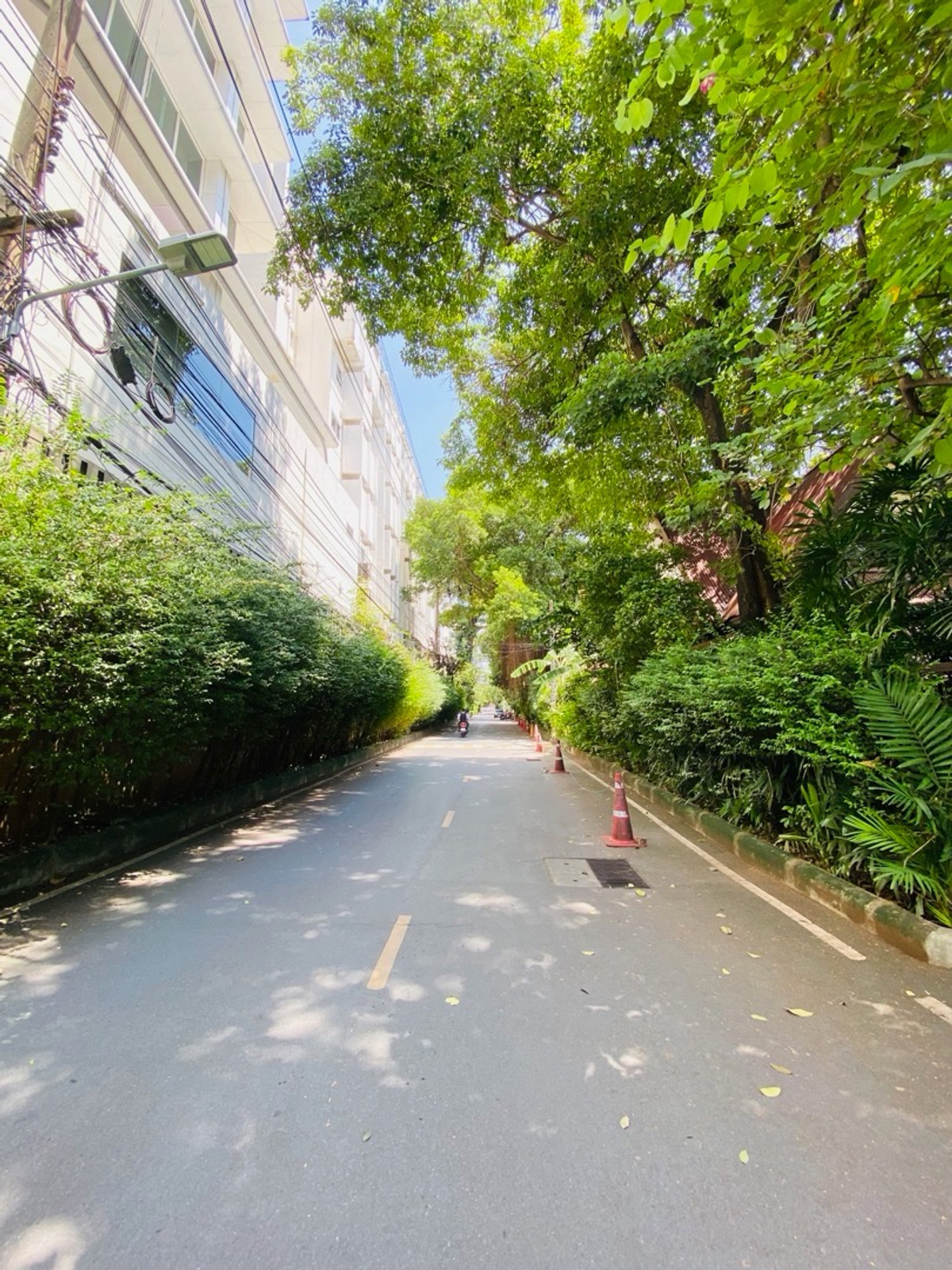 ขายคอนโดพระราม 9 เพชรบุรีตัดใหม่ RCA : AQ Alix Residence Soonvijai ขายเพียง 3 ล้านบาท เท่านั้น