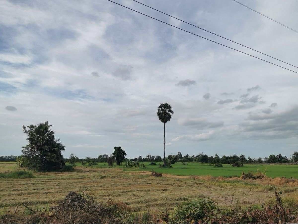 ขายที่ดินสุโขทัย : ขายที่ดิน 1 ไร่ บ้านกล้วย สุโขทัย แปลงมุม  ติดถนน น้ำไฟเข้าถึง 