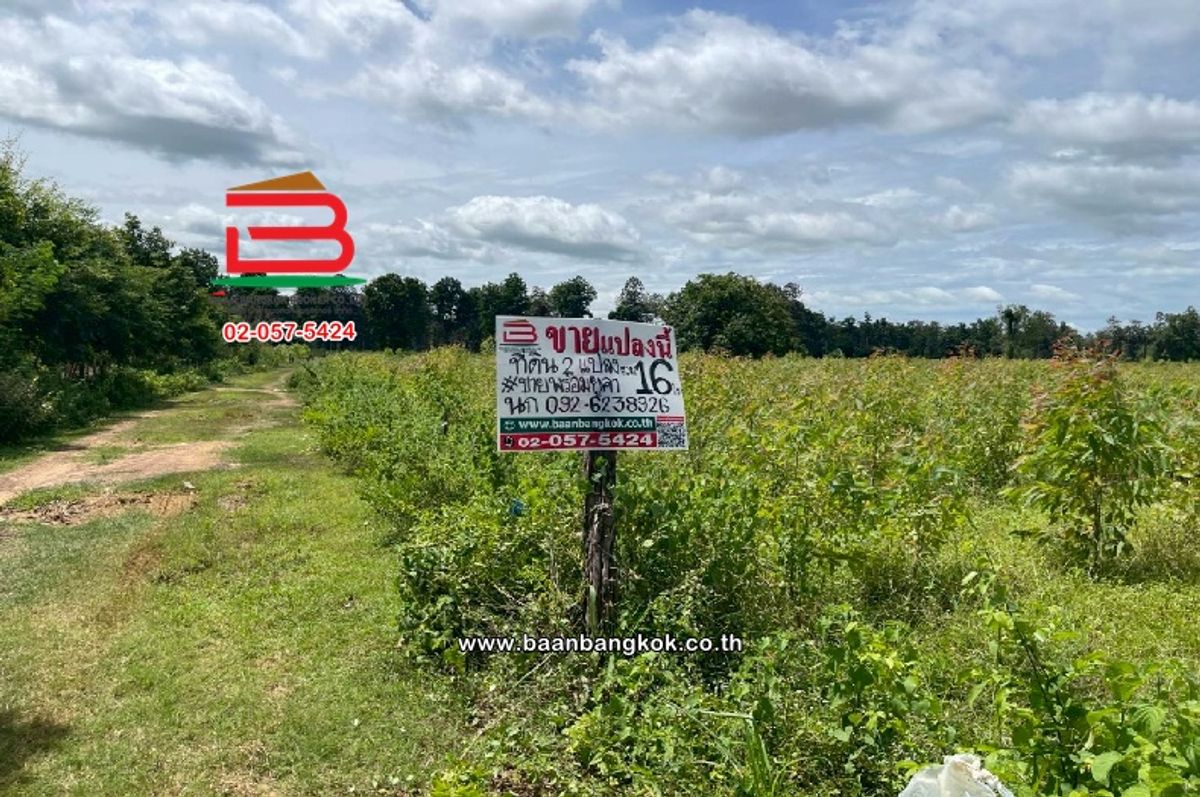 For SaleLandBuri Ram : Blank land, Khok Prasat Village, area of 16-0-37 rai (Ban Yai Pim Intersection, near Don Wai School), Nong Yai Pim Subdistrict, Nangrong District, Buriram