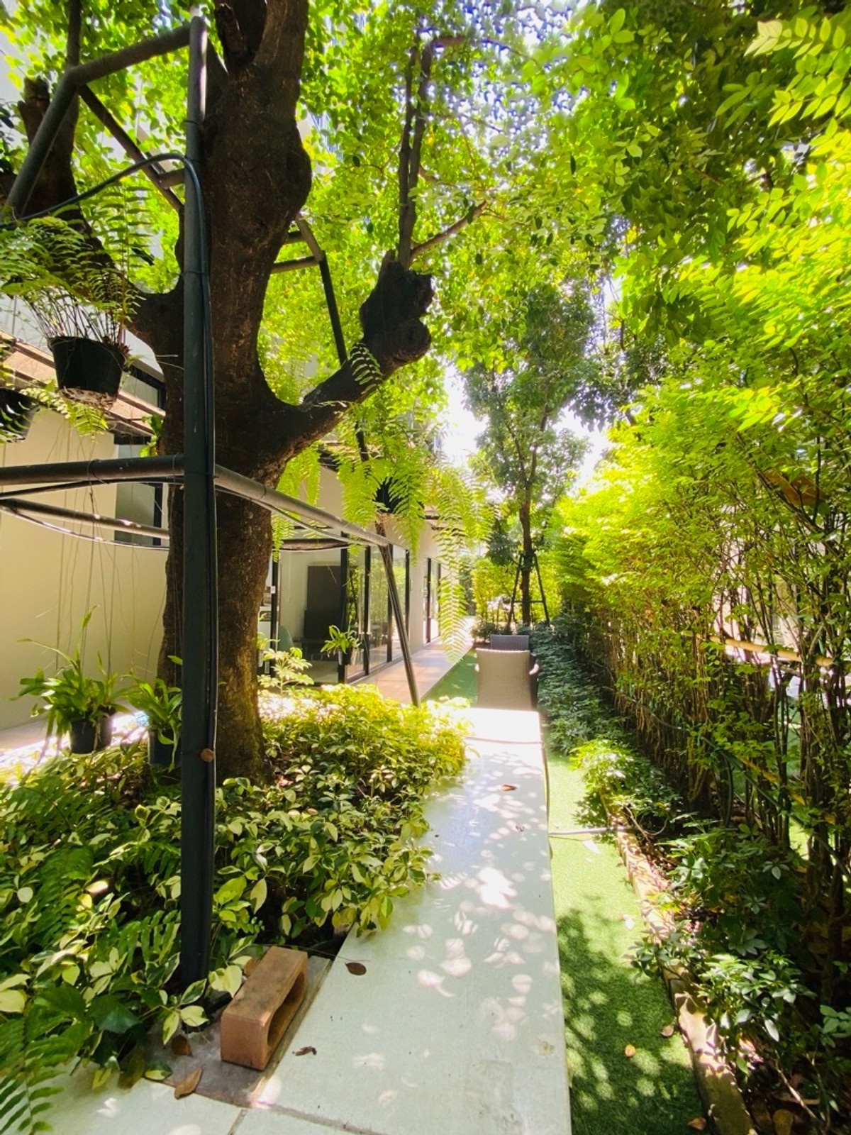 ขายคอนโดพระราม 9 เพชรบุรีตัดใหม่ RCA : AQ Alix Residence Soonvijai ขายเพียง 3 ล้านบาท เท่านั้น